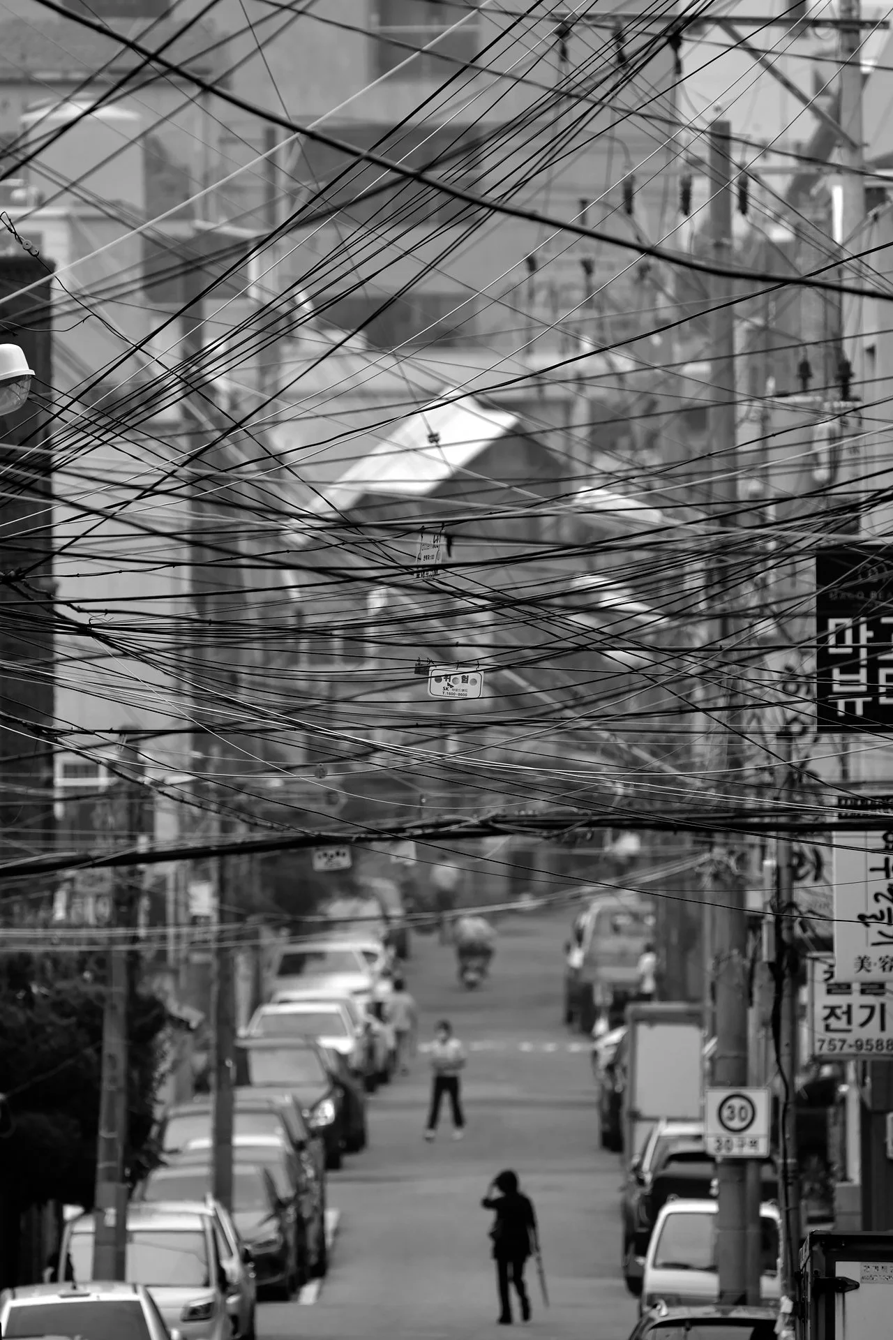 _D8A7691.JPG