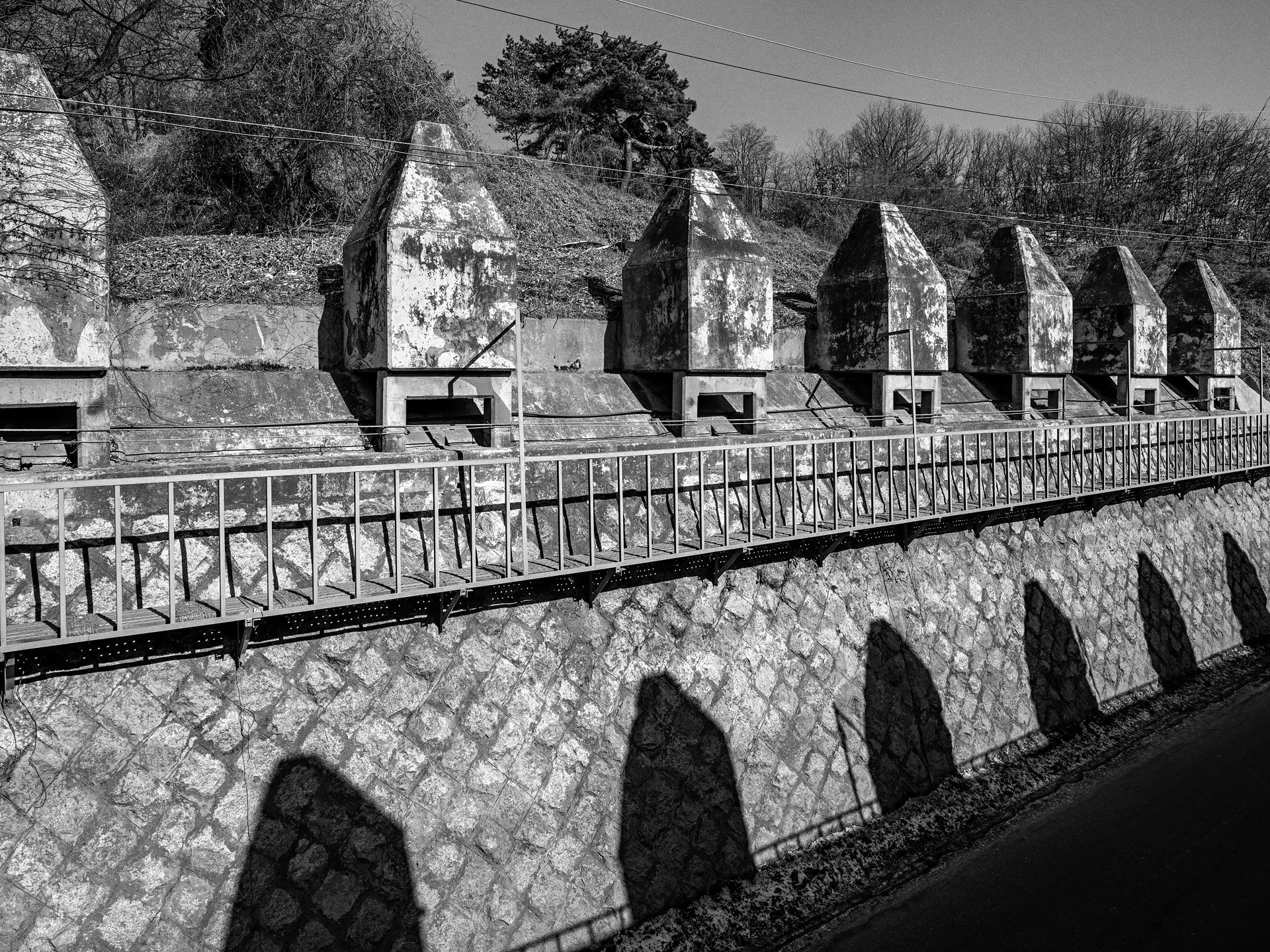 D85_5663.jpg