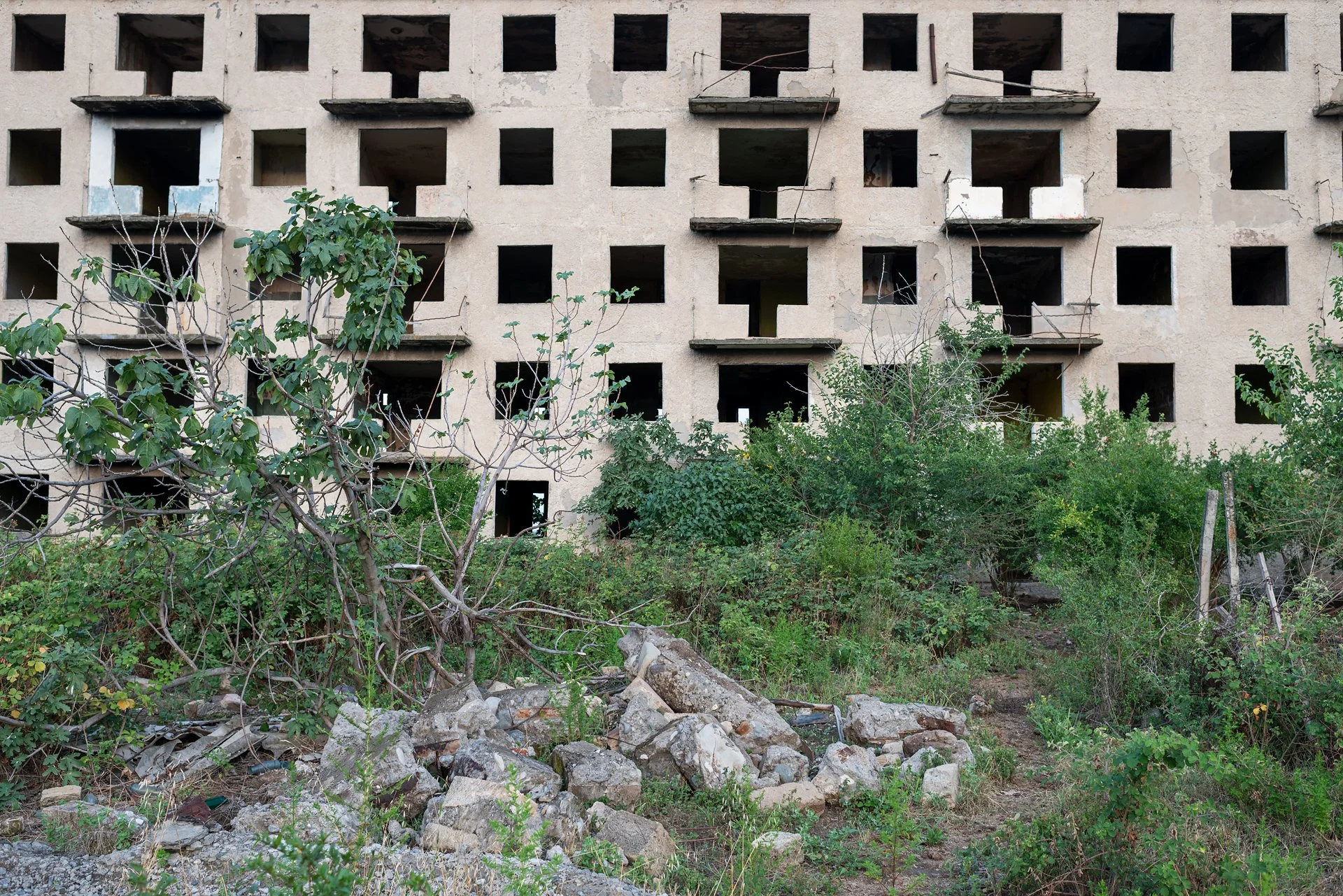 D8A_8755.jpg