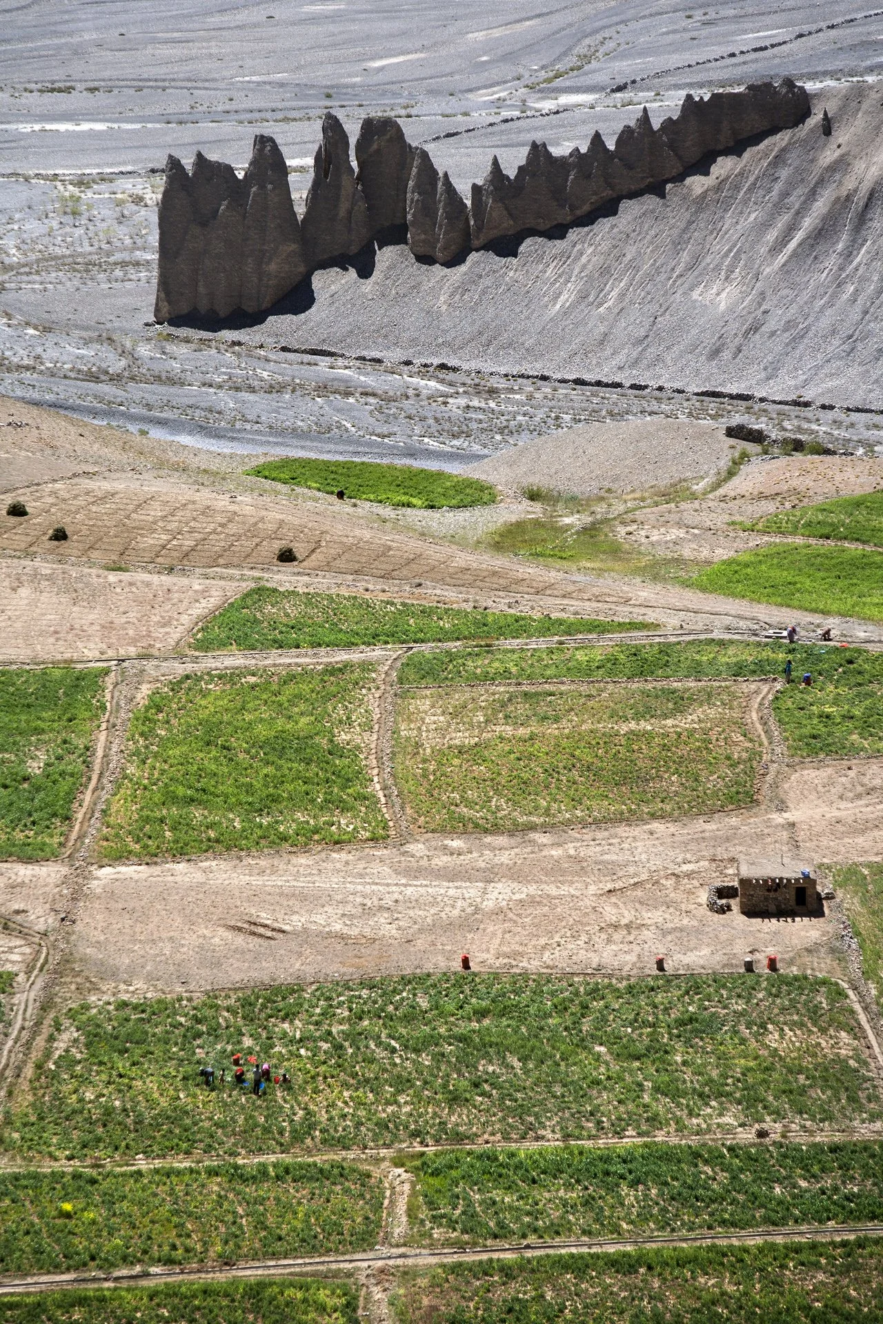 _MG_1904.jpg
