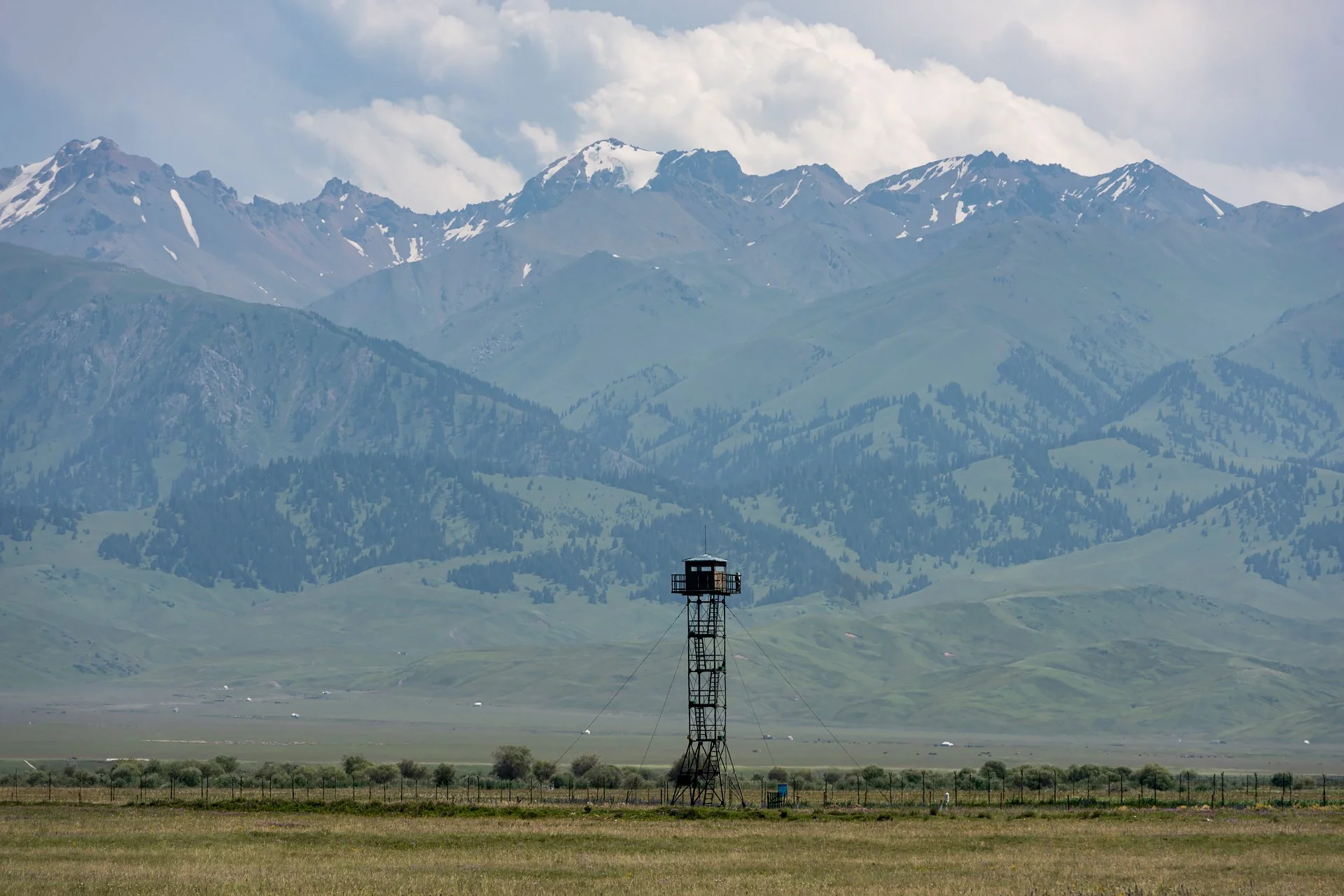 D81_3445.jpg