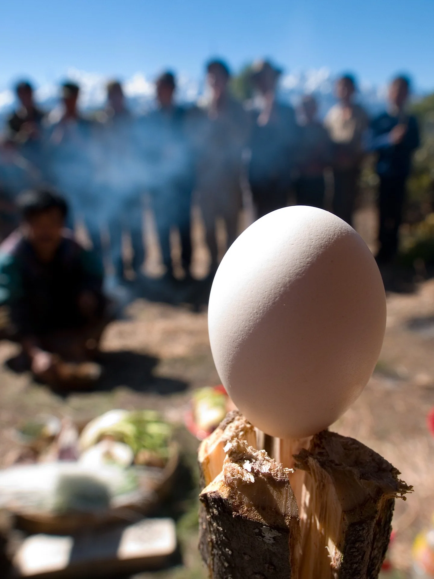 P1286760.jpg