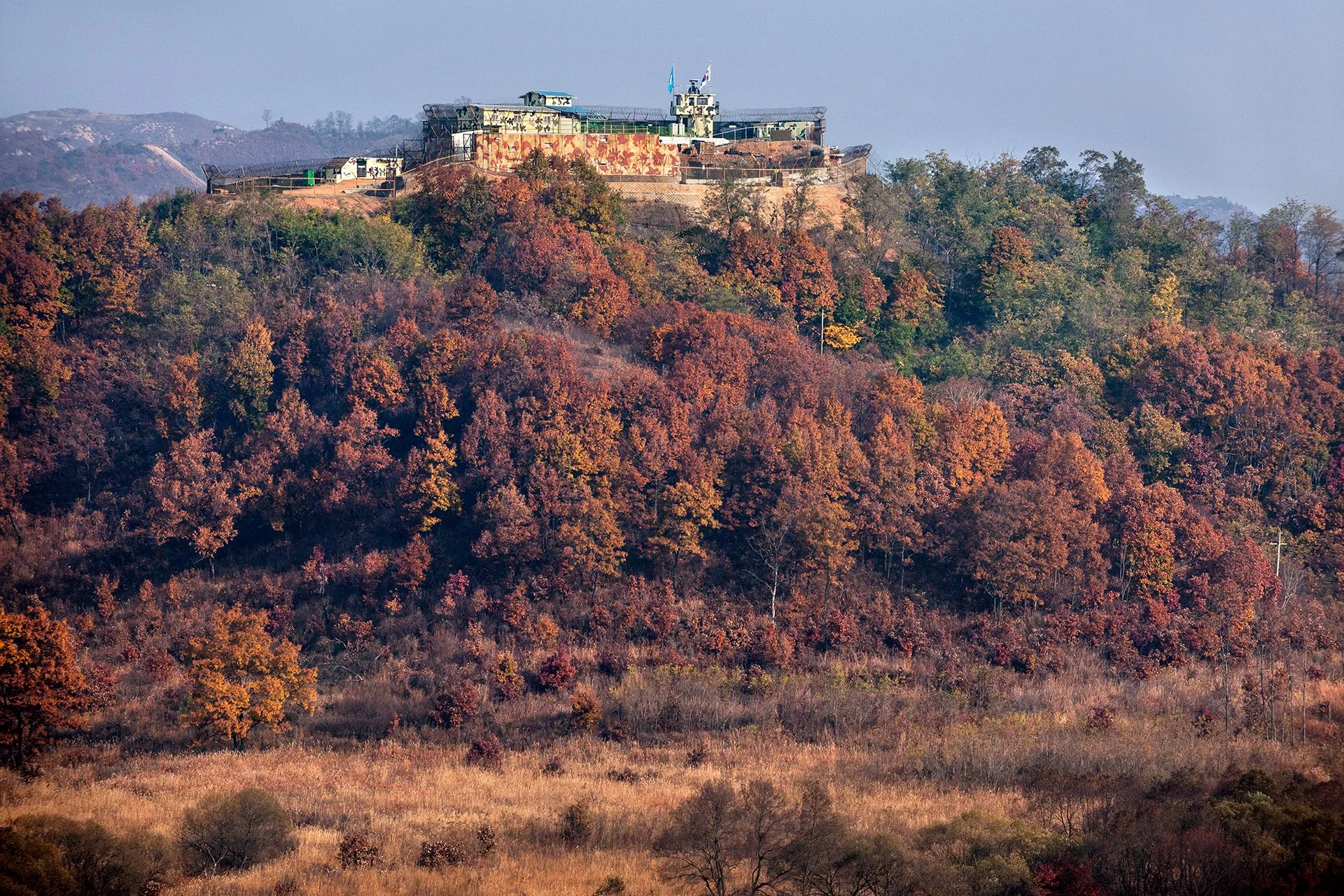 D3X_5729.jpg