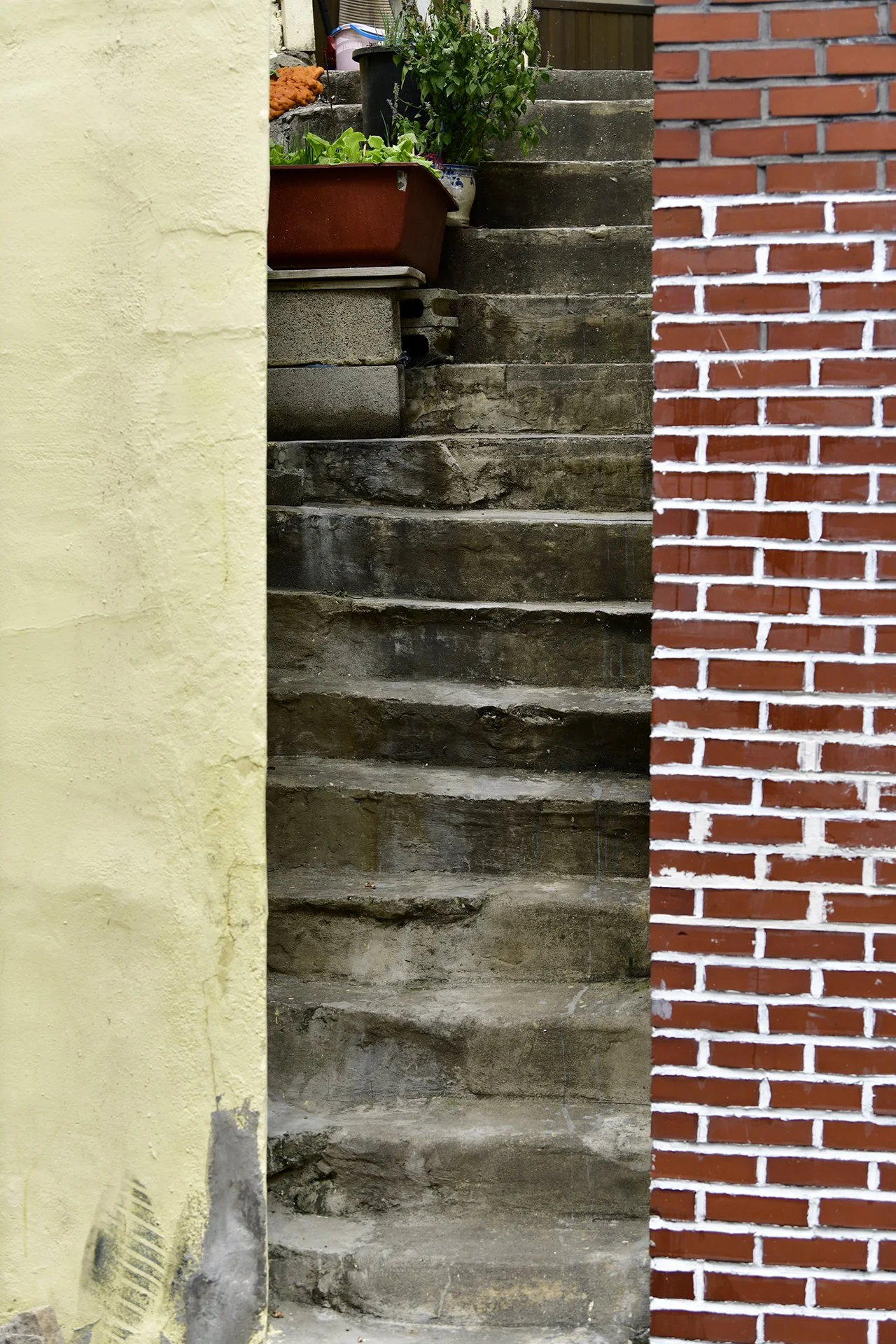 _D8A0579.JPG