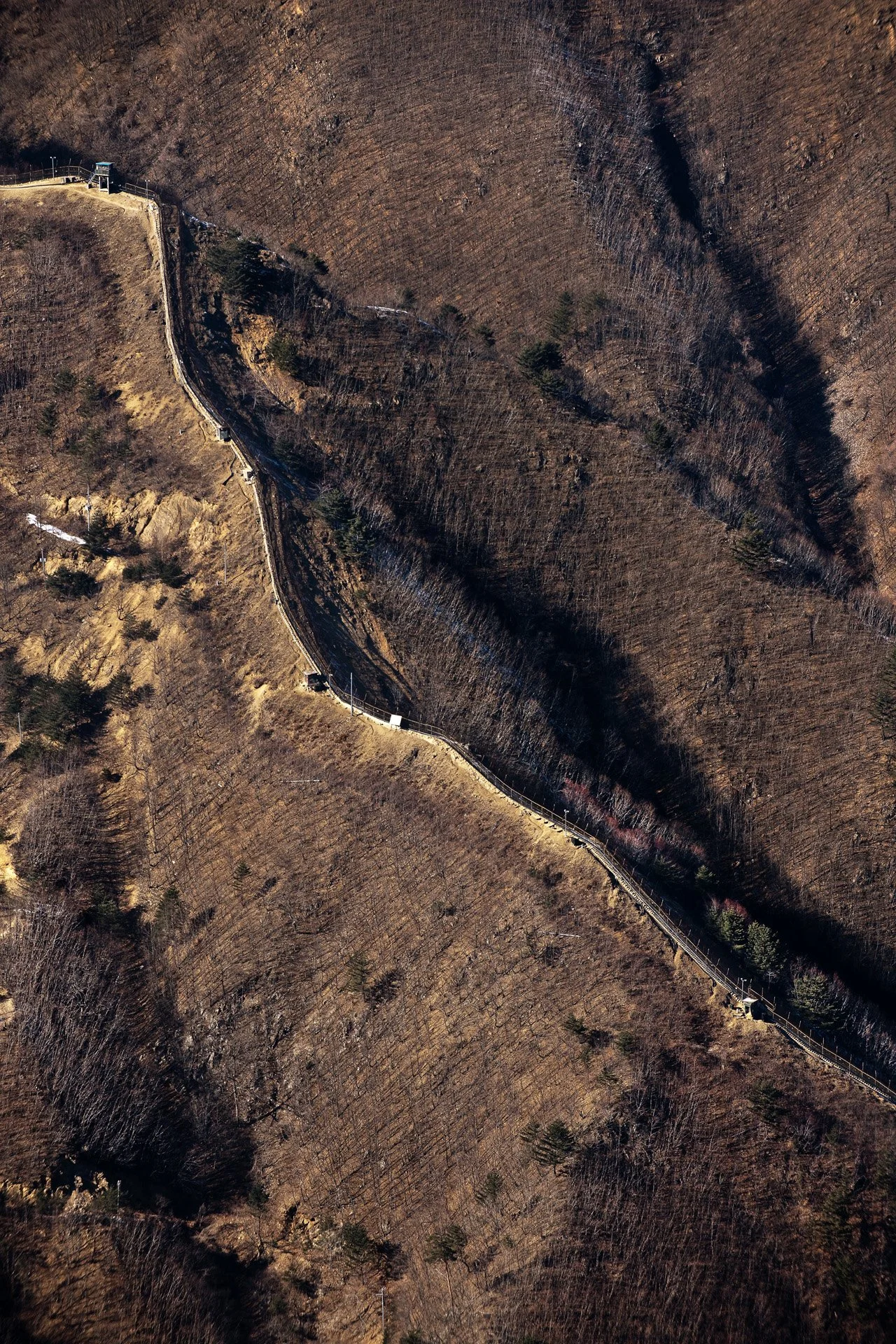 D3X_6648.jpg