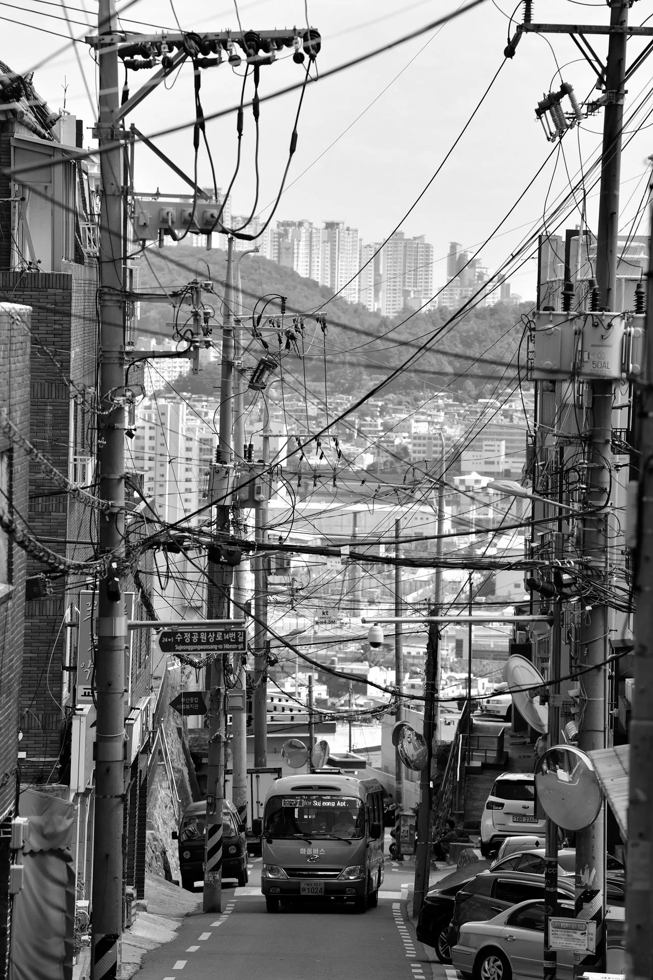_D8A0709.JPG