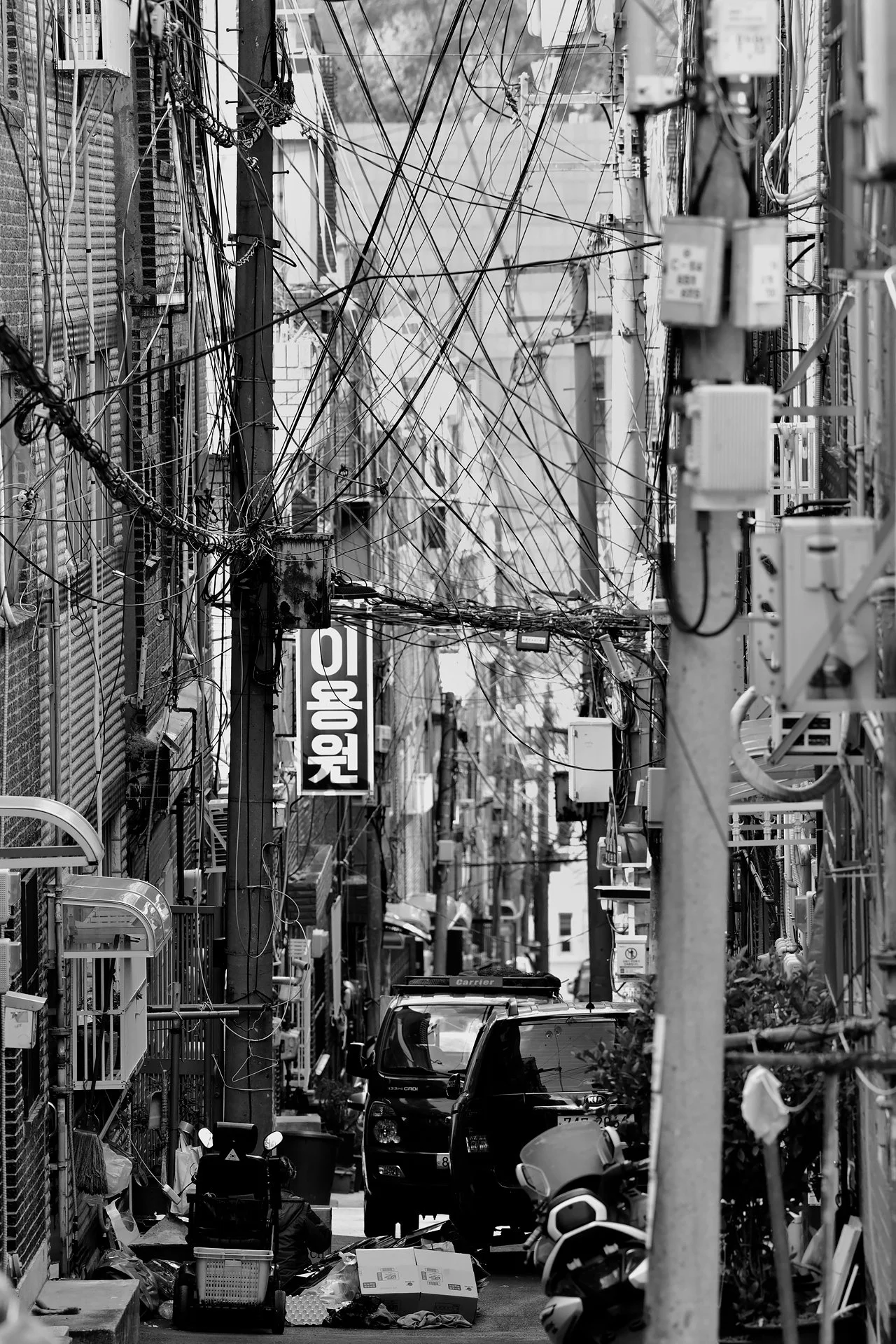 _D8A6930.JPG