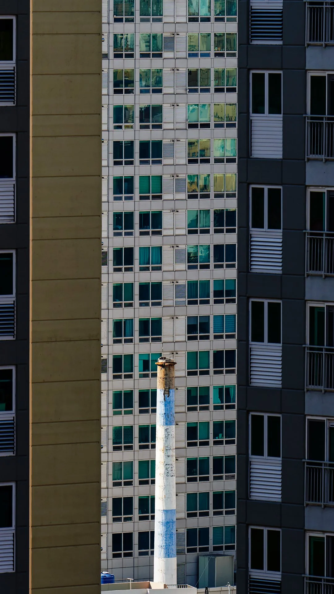 _Z7A6123.jpg