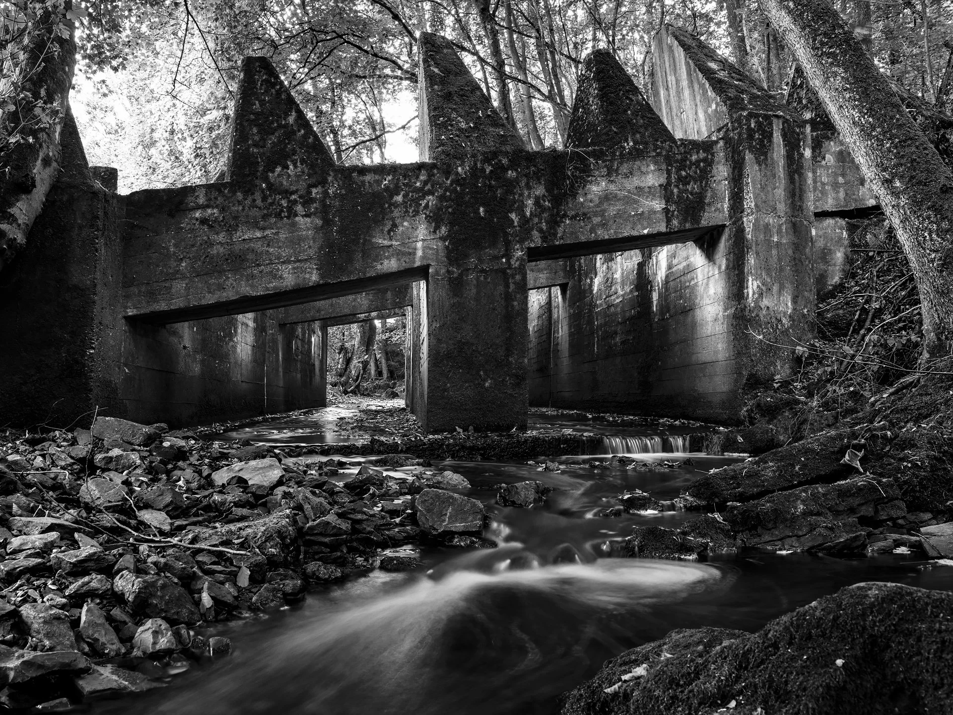 17_D85_5455.jpg