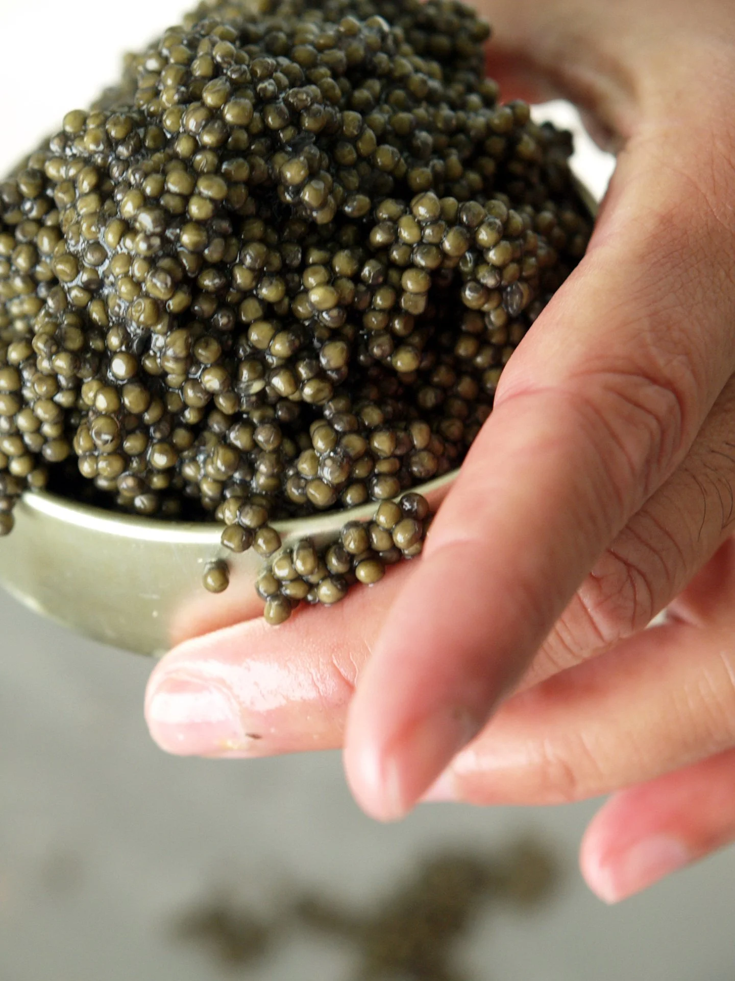Caviar12.jpg
