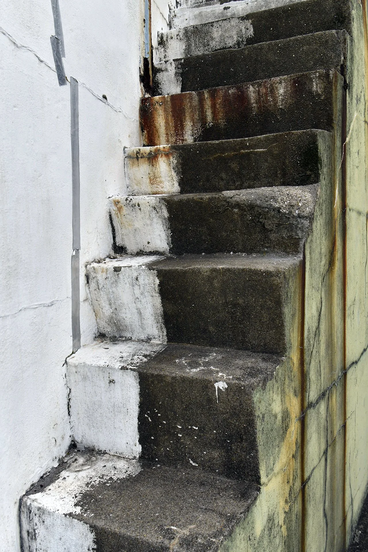 _D8A0982.JPG