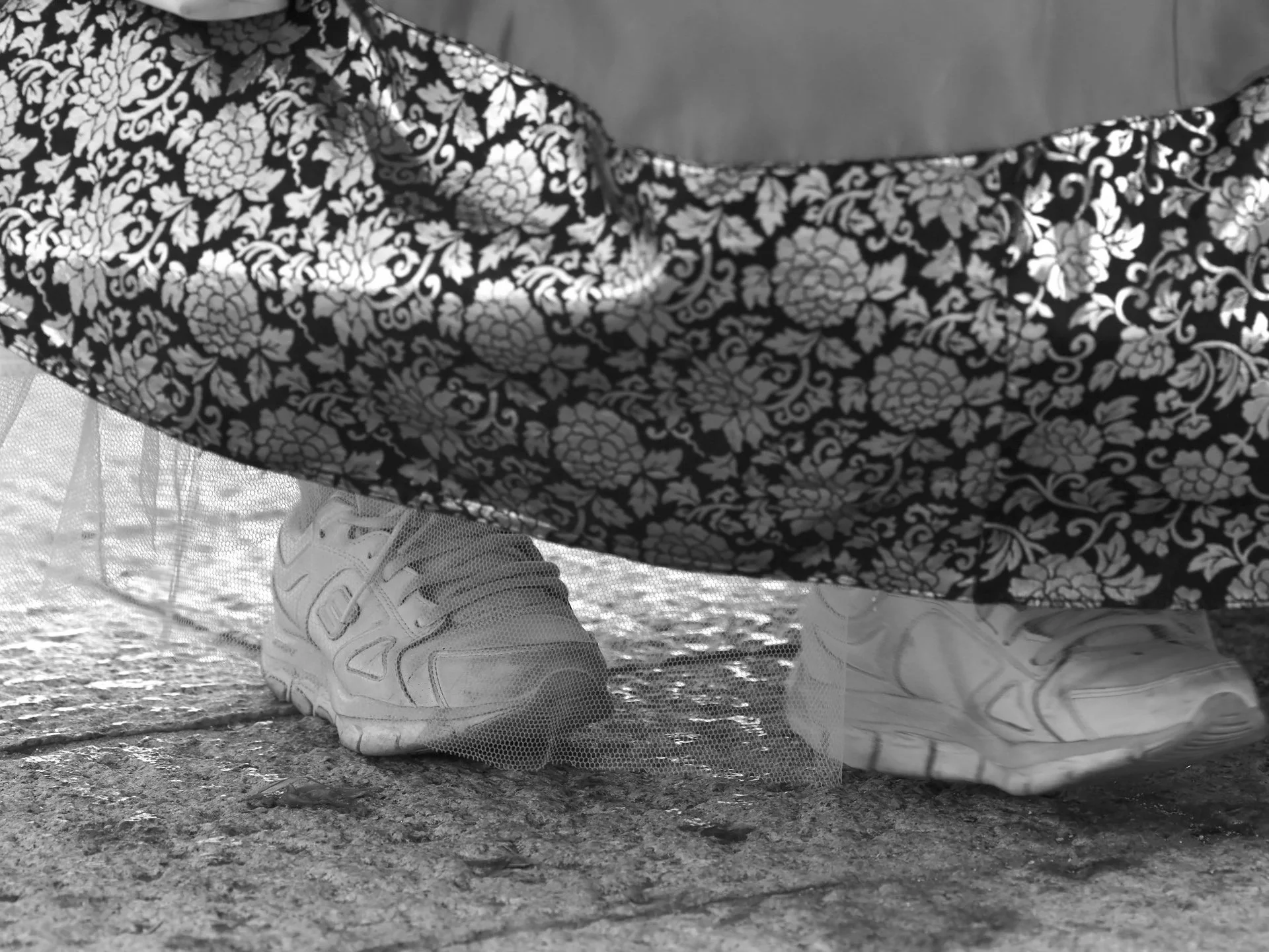 D85_2448.JPG
