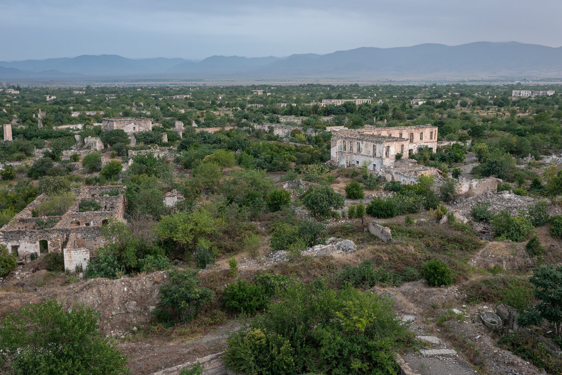 D8A_7571.jpg