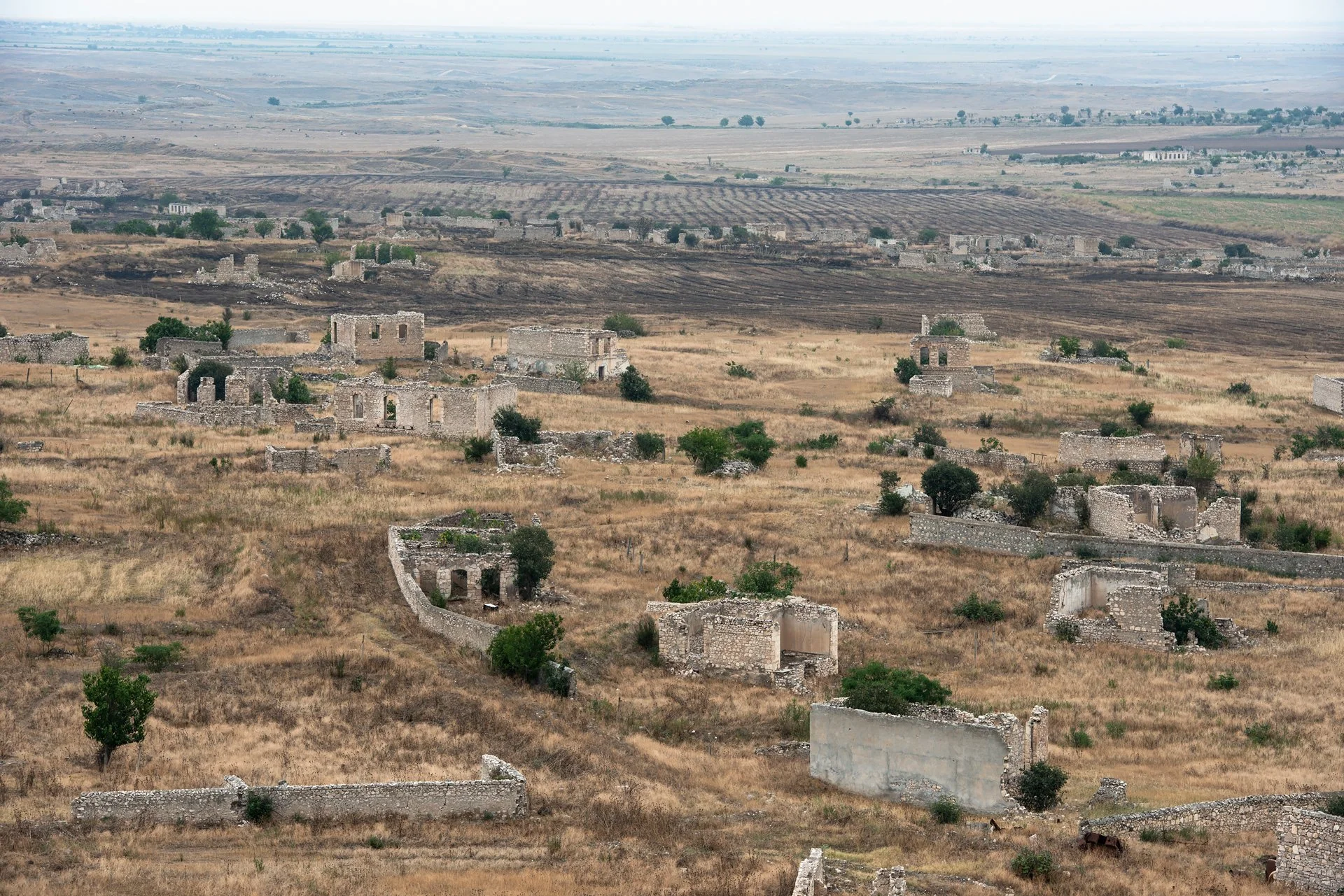 D8A_8230.jpg