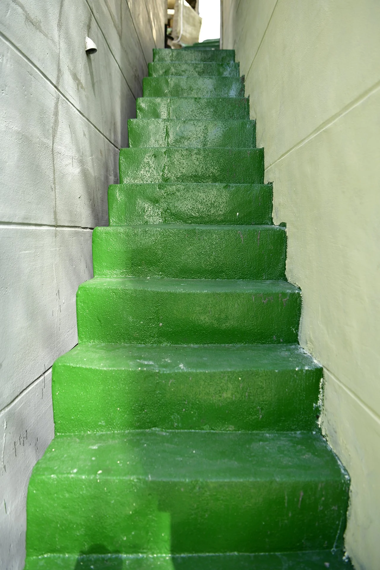 _D8A8609.JPG
