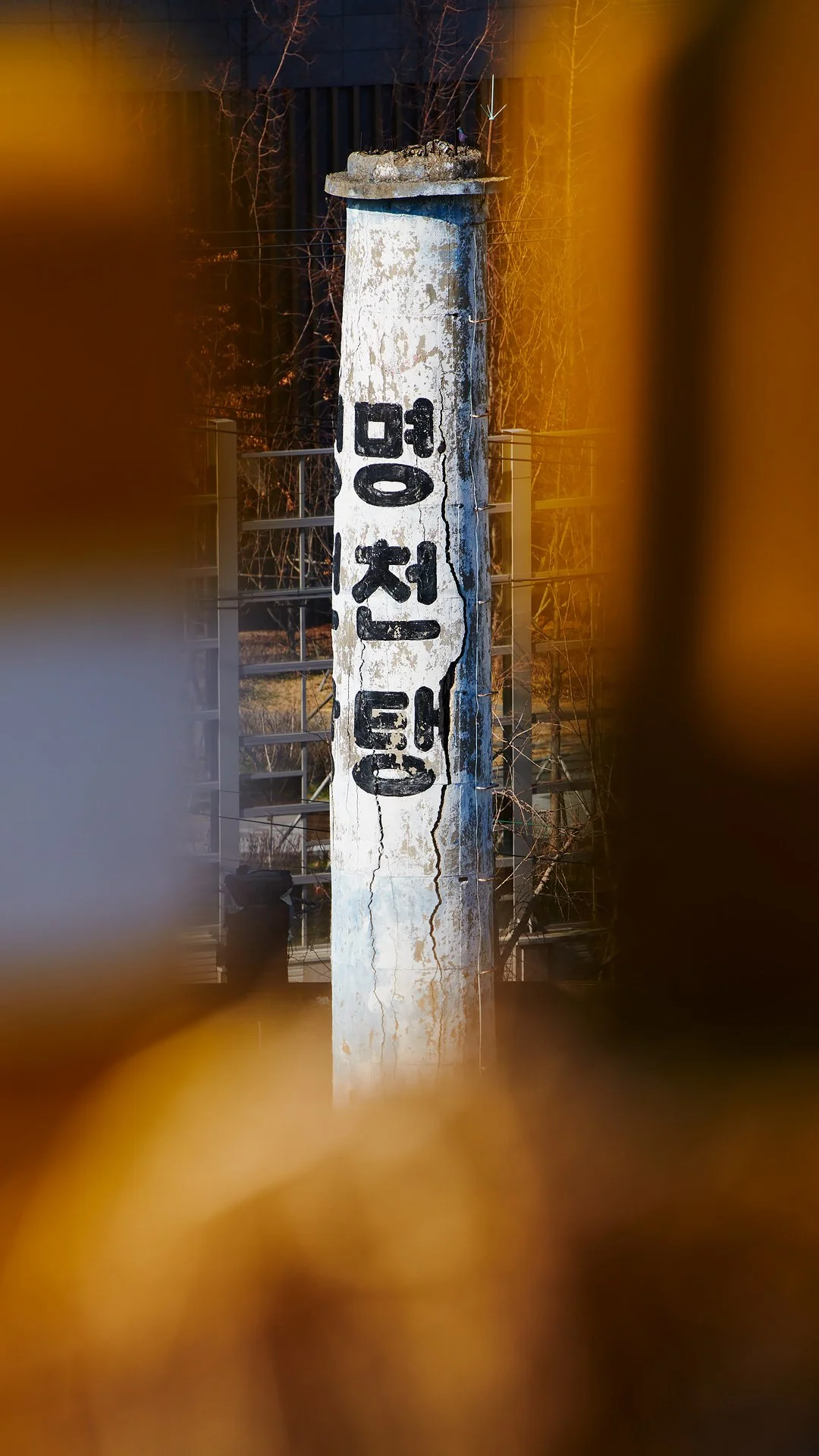 _D8A0826.jpg