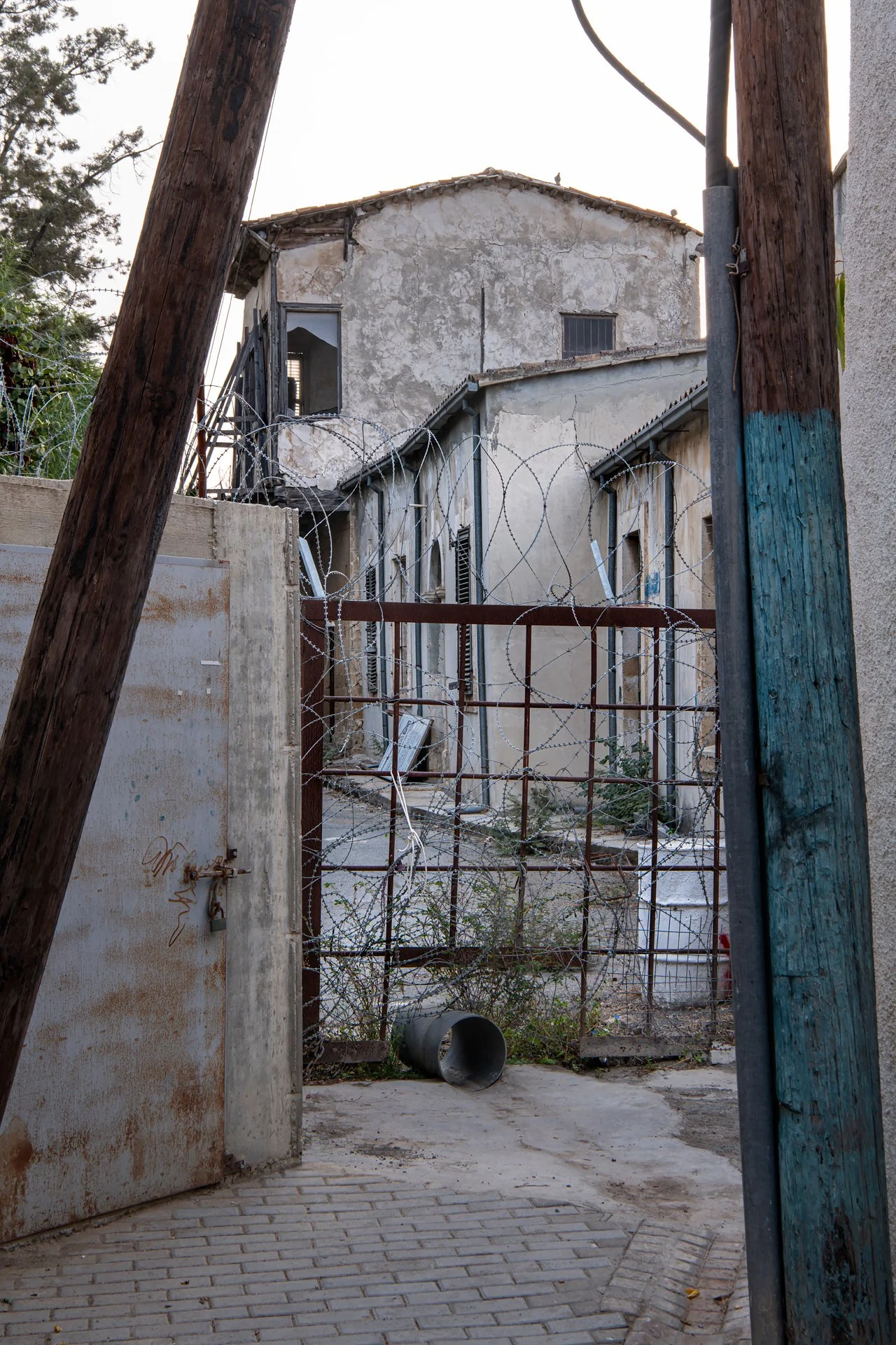 _D8A2259.jpg