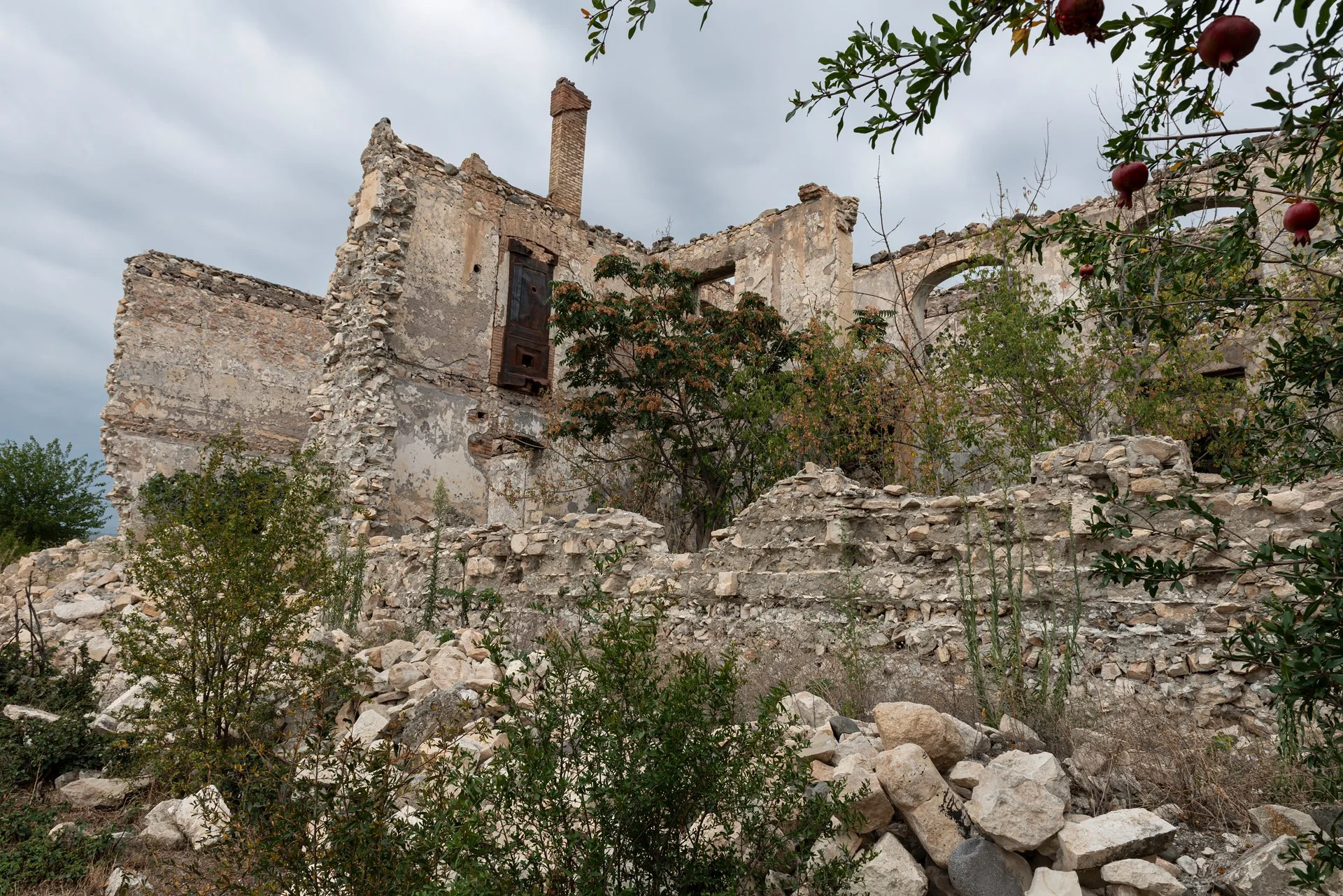 D8B_5430.jpg