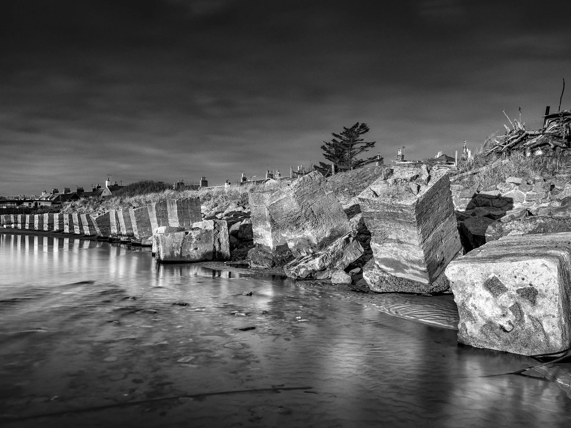 D85_1381.jpg