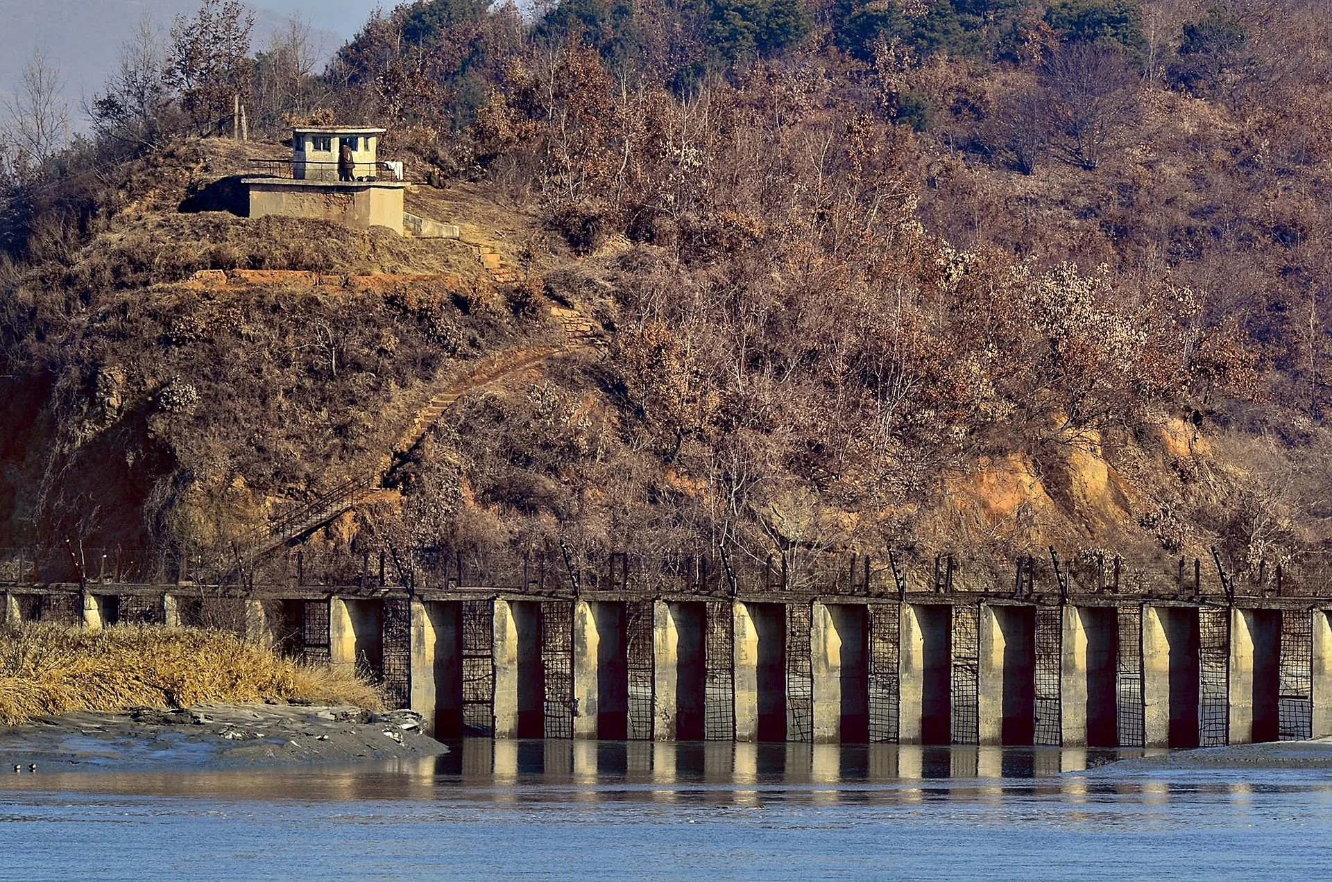 D70_4128L.jpg