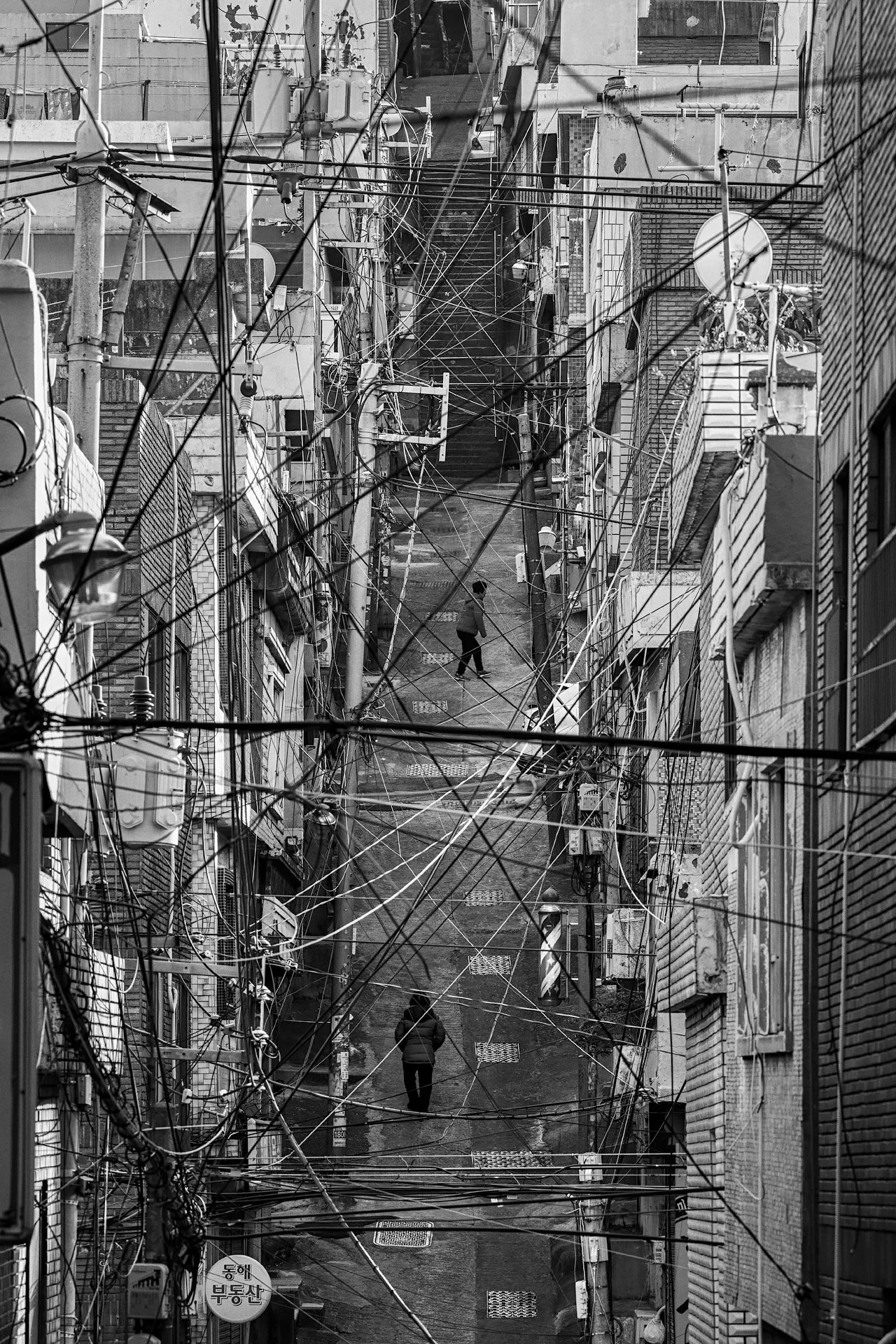 _D8A7088.jpg
