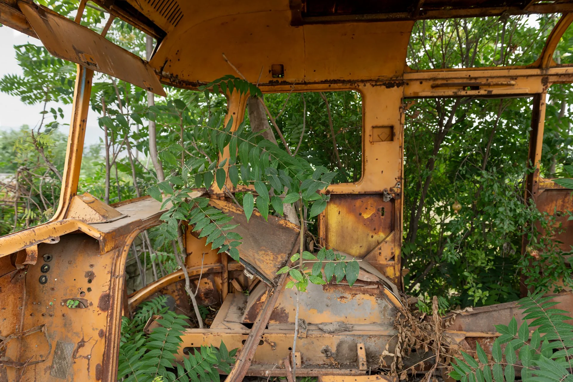 D8B_5970.jpg