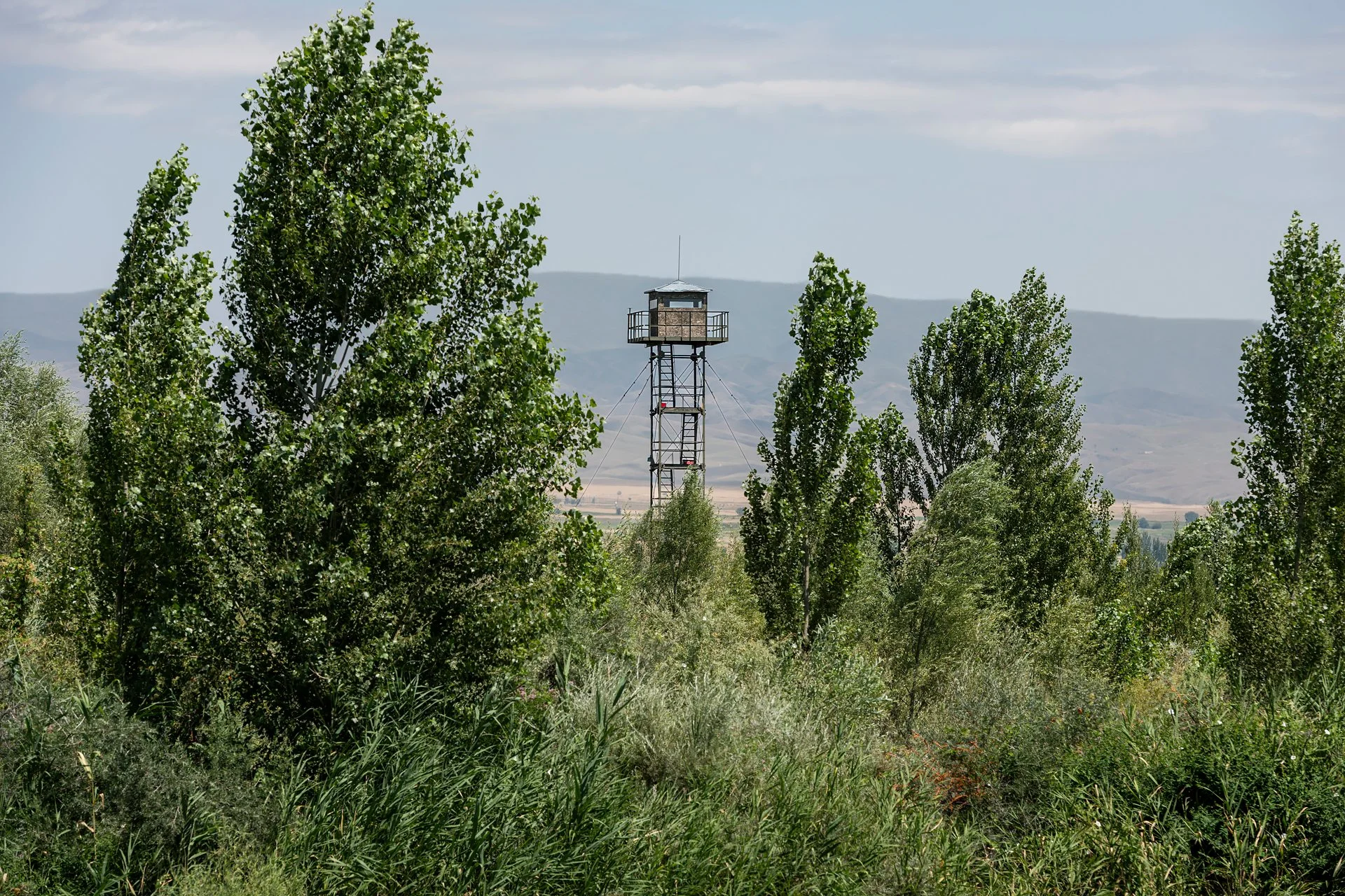 D81_3528.jpg
