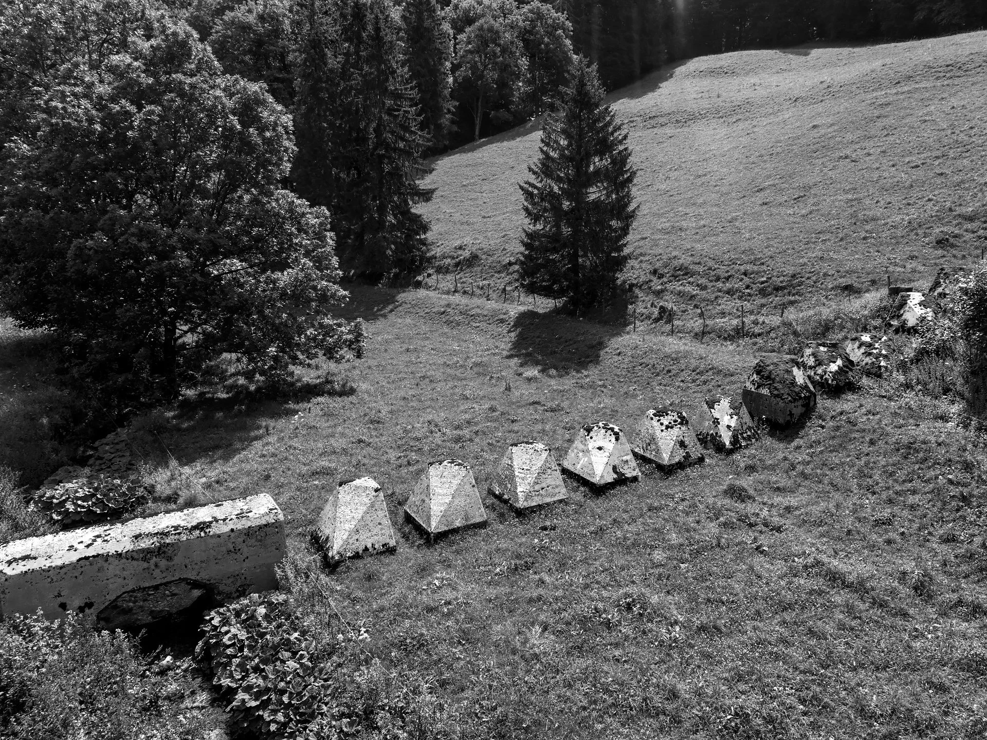 29_DJI_0120.jpg