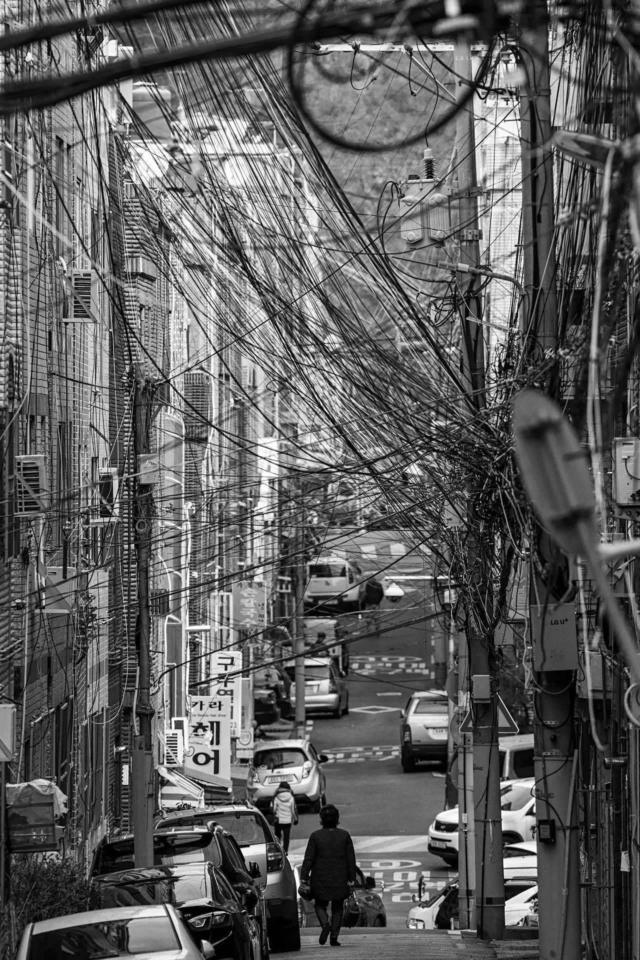 _D8A6725.jpg