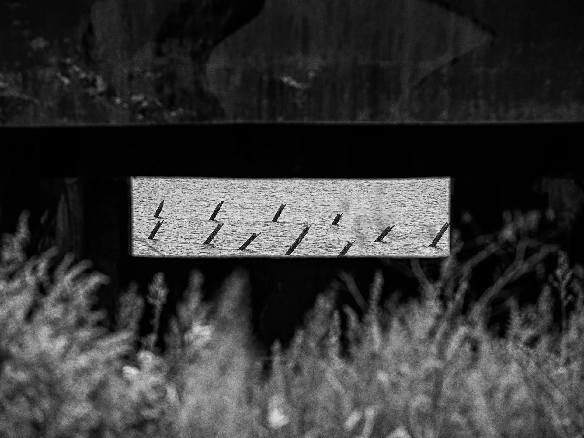 D8B_9143.jpg