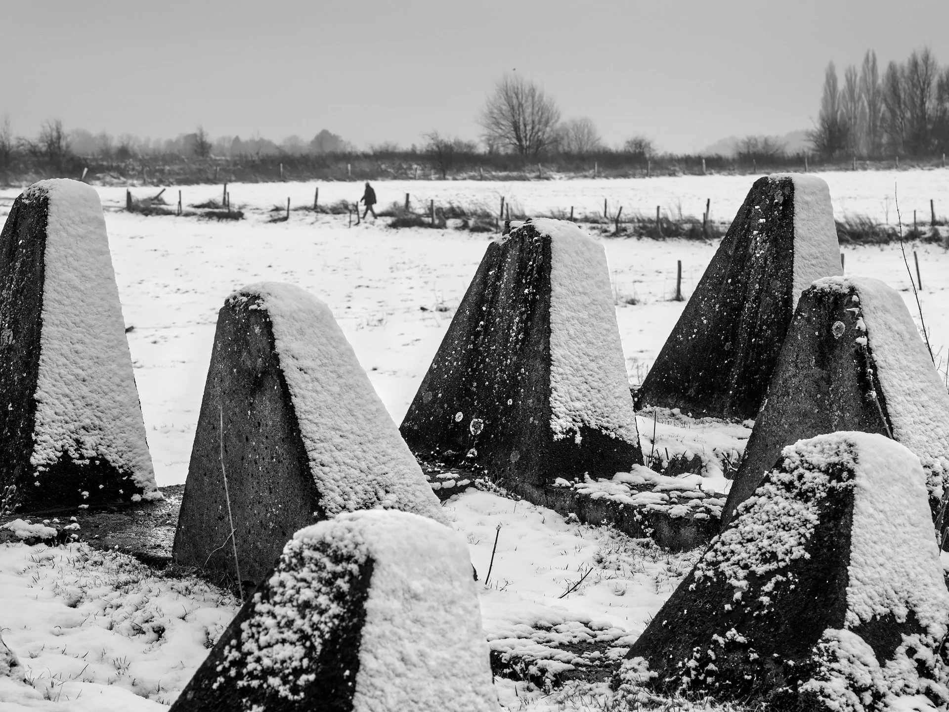 03_D8A_1860.jpg