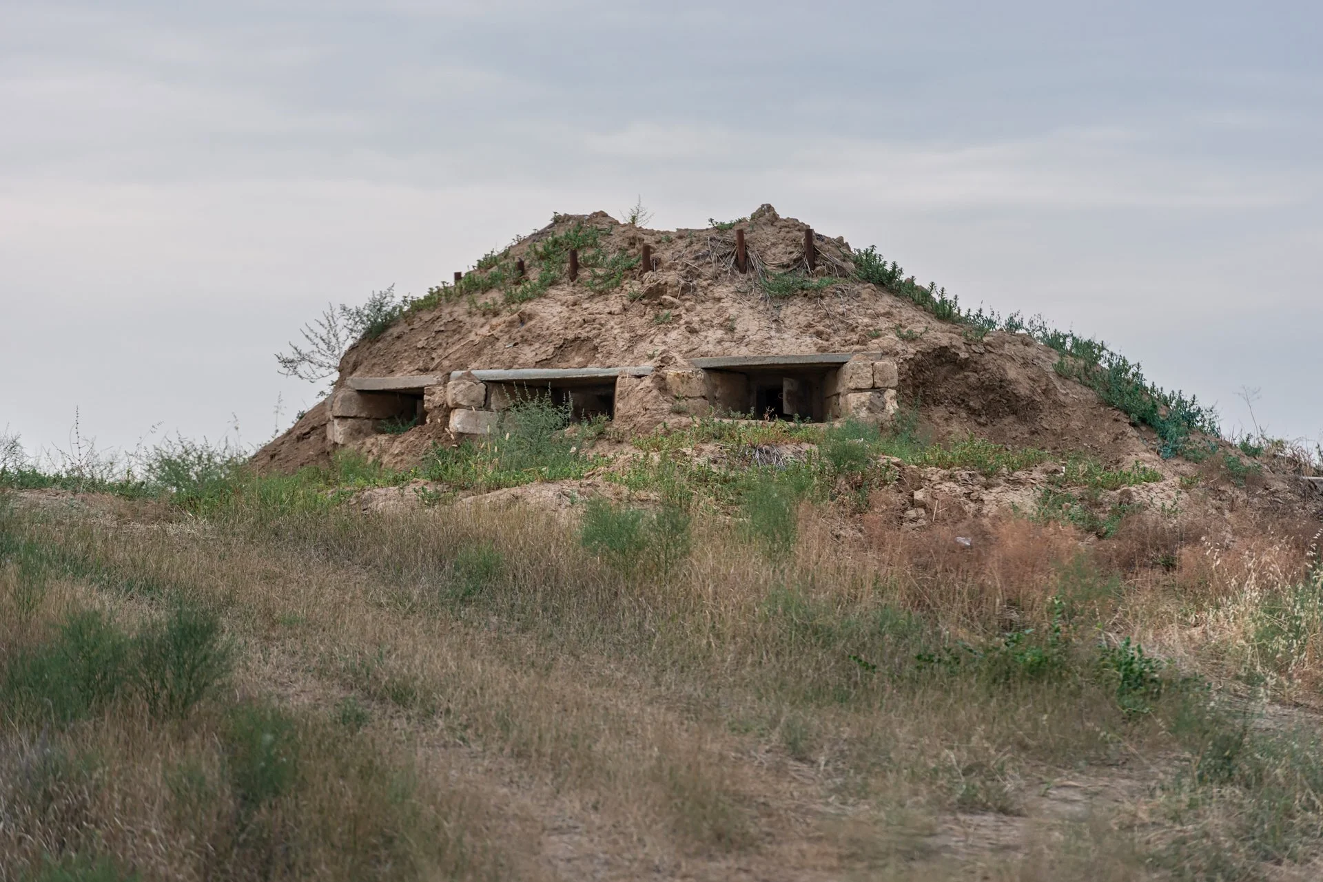 D8A_8082.jpg