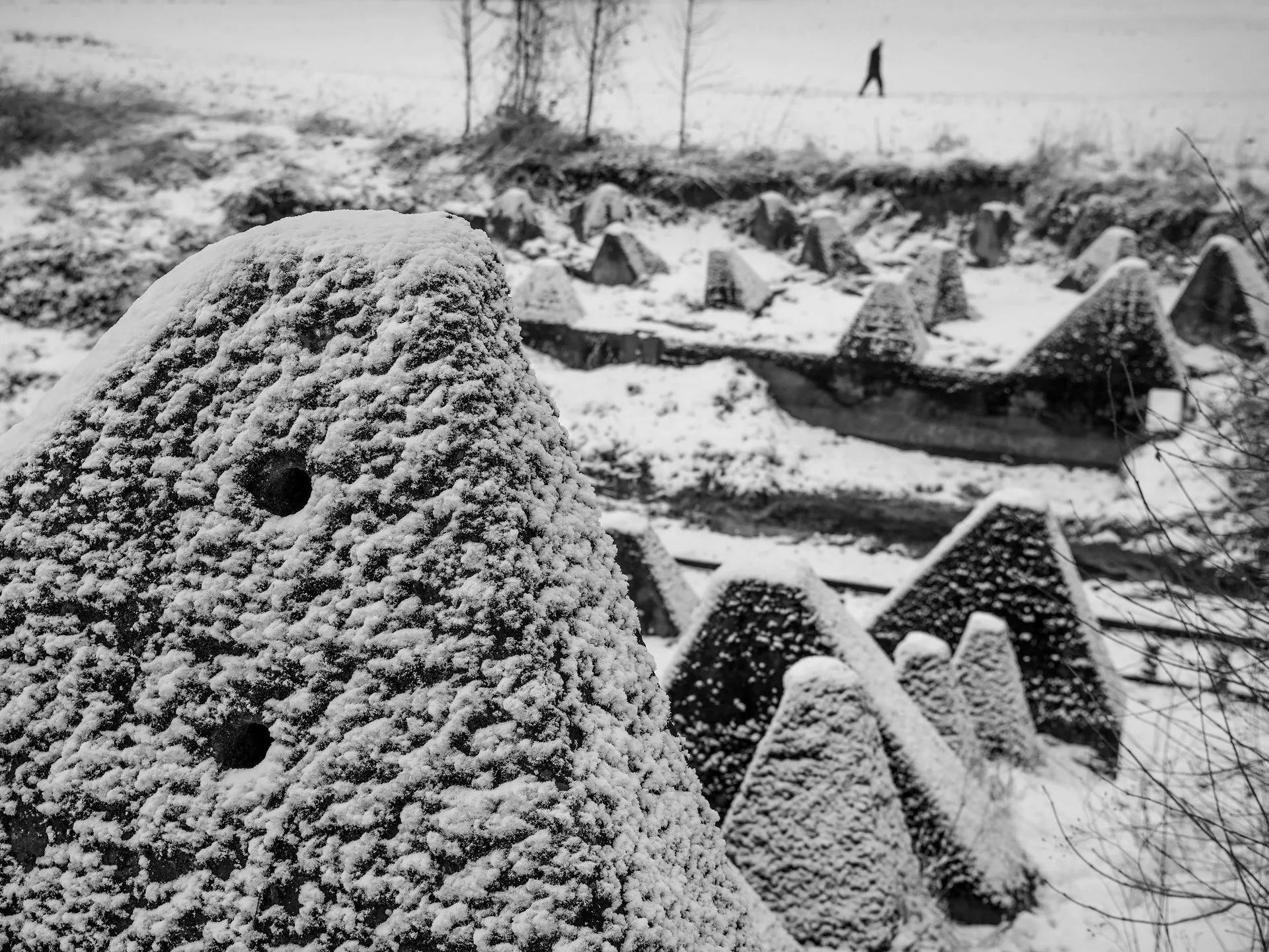 05_D8B_1829.jpg