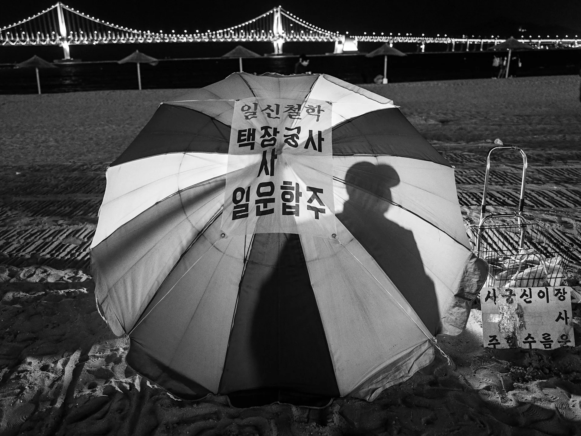 _Q1200954.jpg