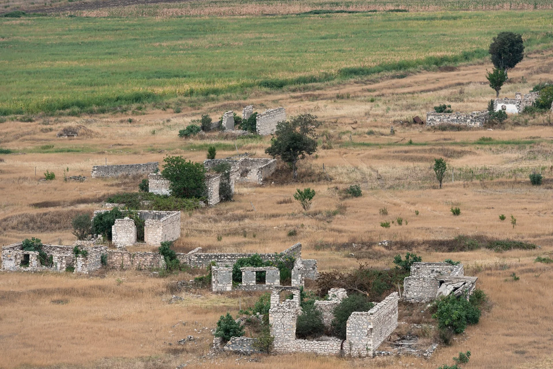 D8A_8249.jpg