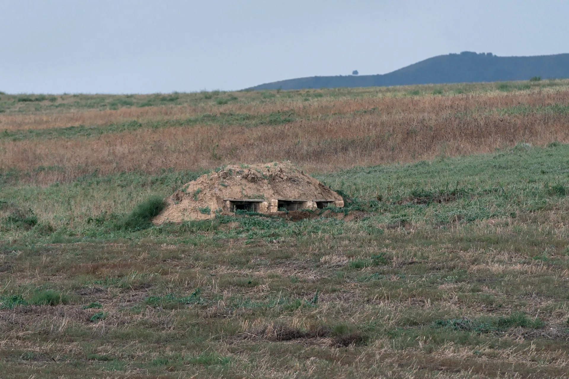 D8A_8093.jpg