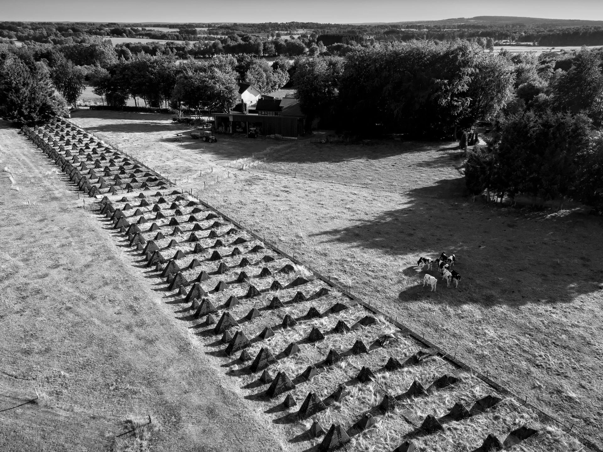 11_DJI_0191.jpg