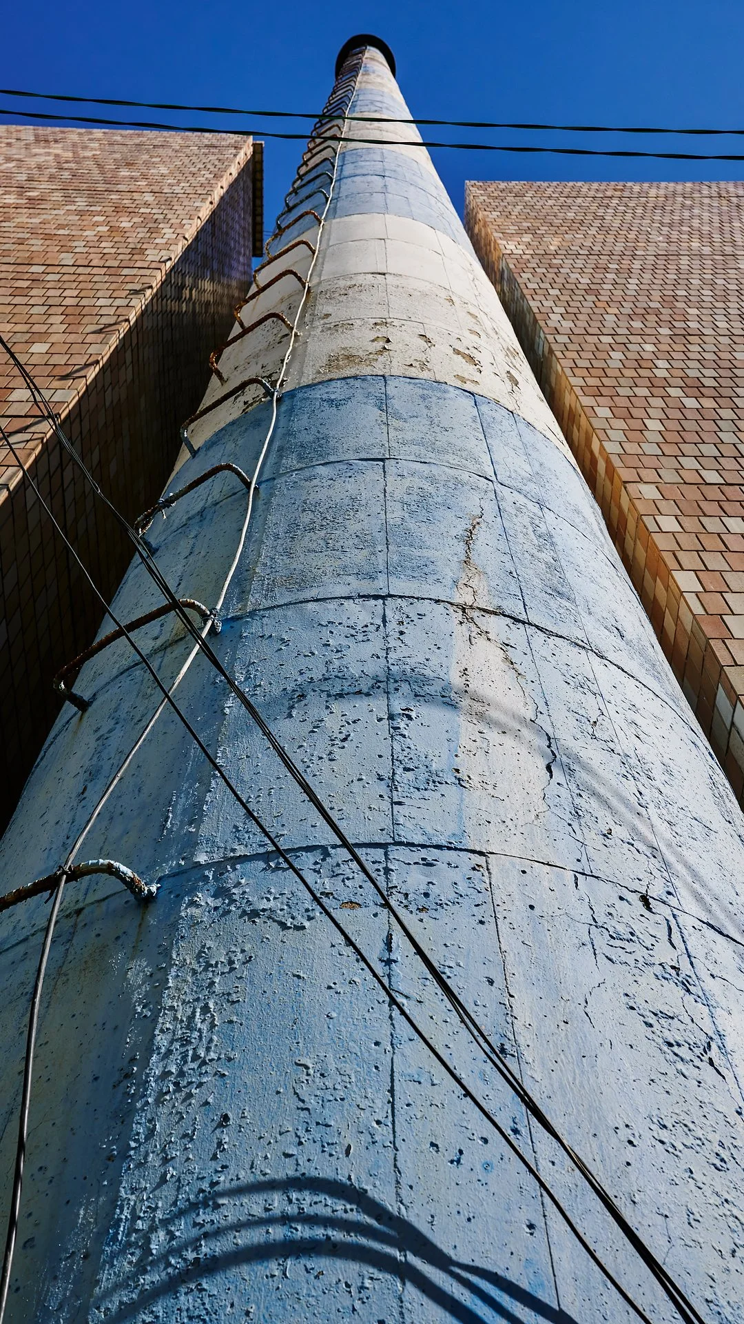 _Z6A9907.jpg