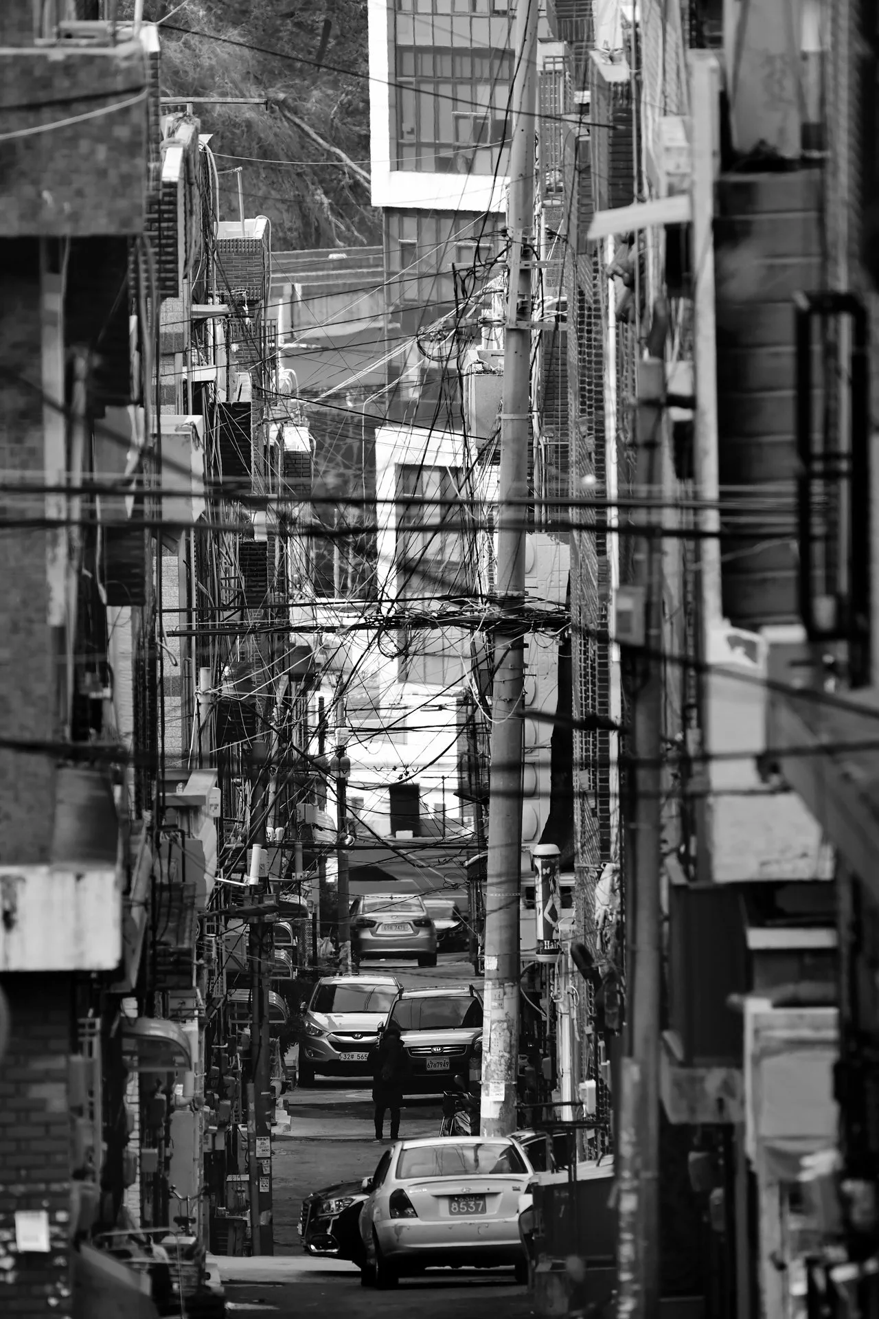 _D8A6831.JPG