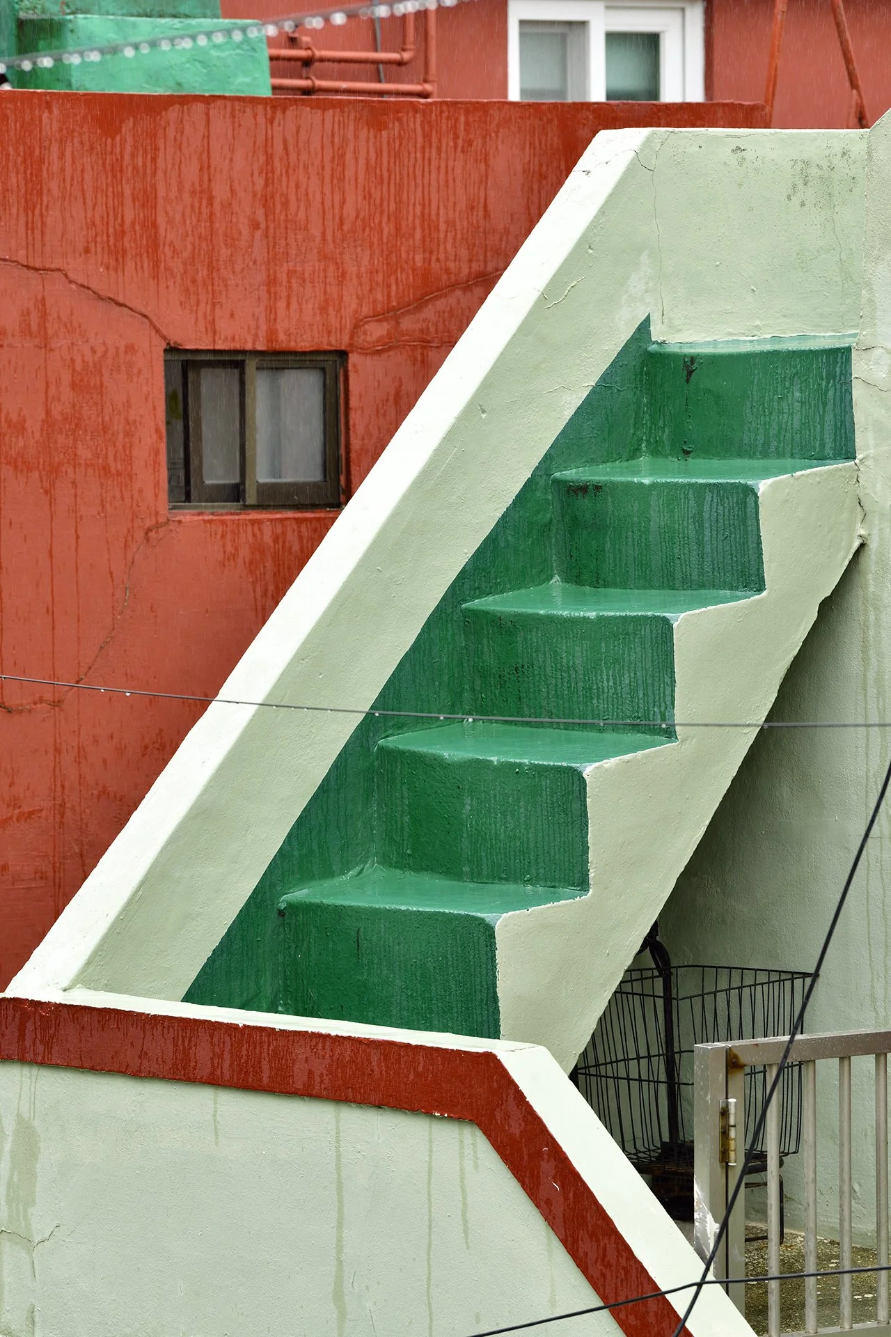 _D8B6565.JPG