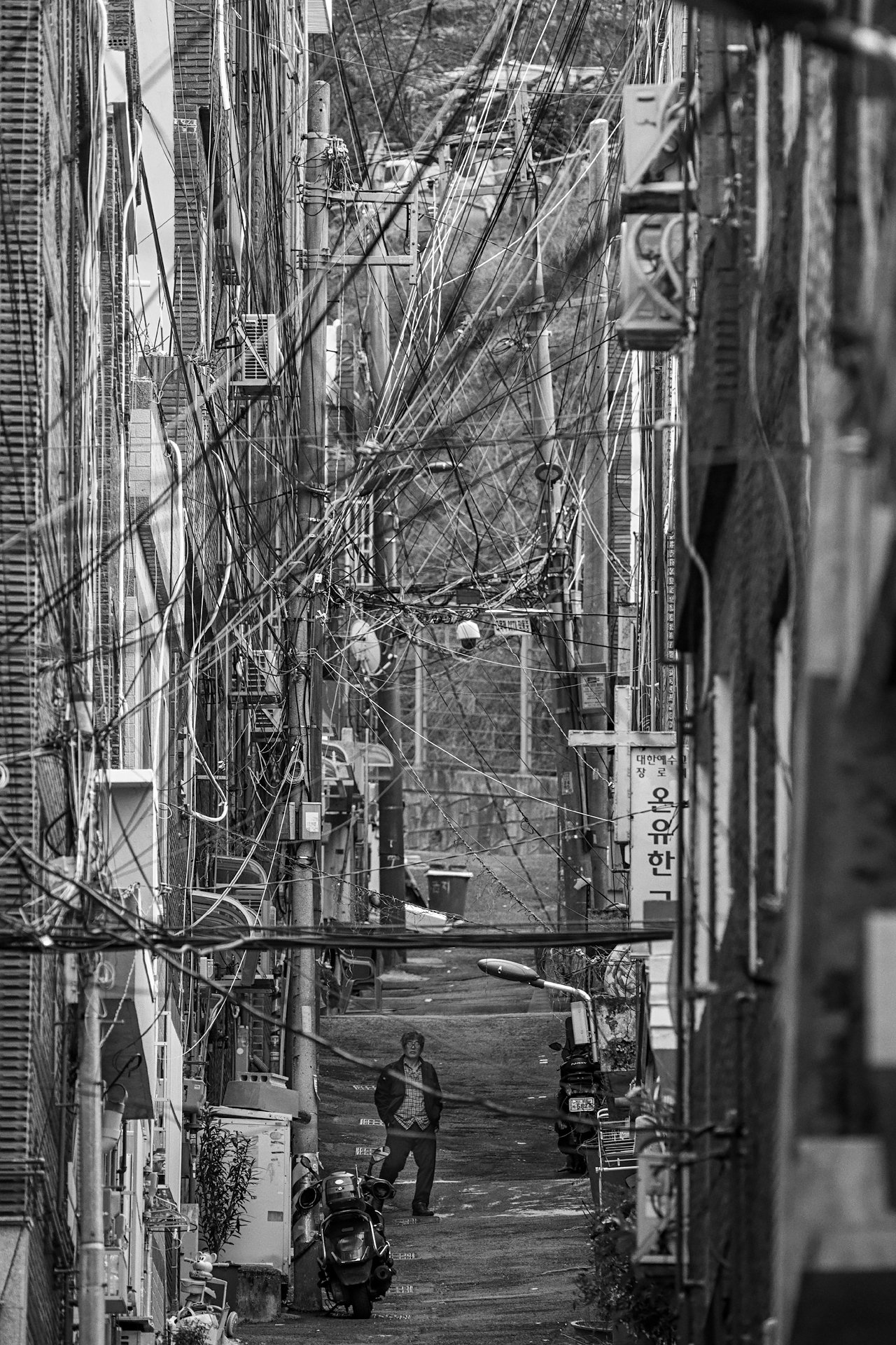 _D8A6893.jpg