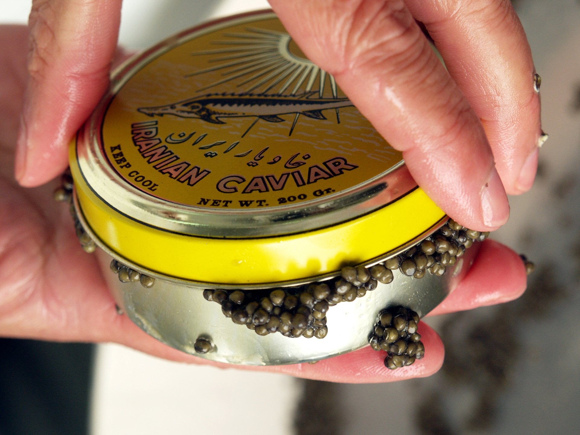 Caviar11.jpg