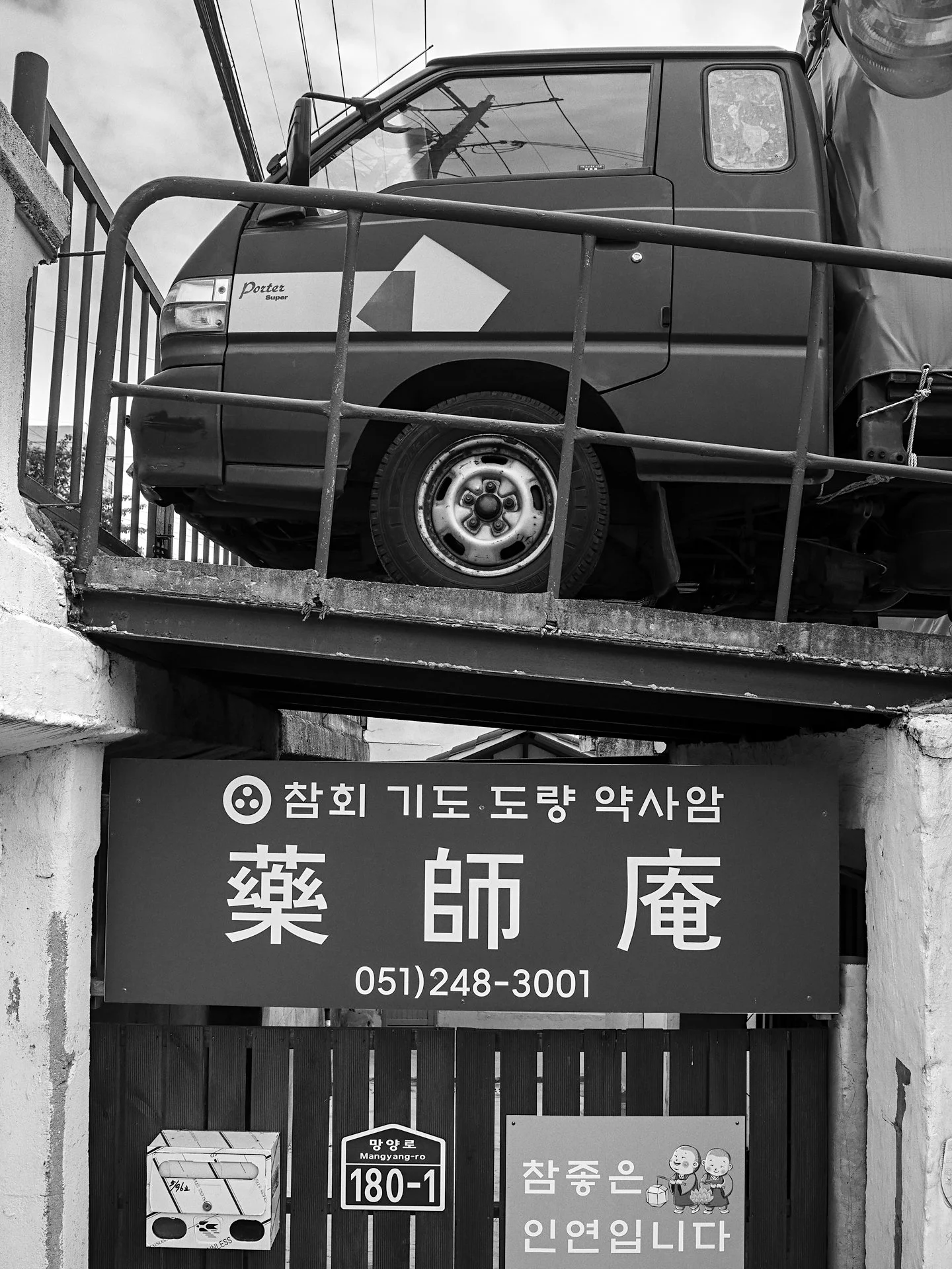 _D8A5412.jpg