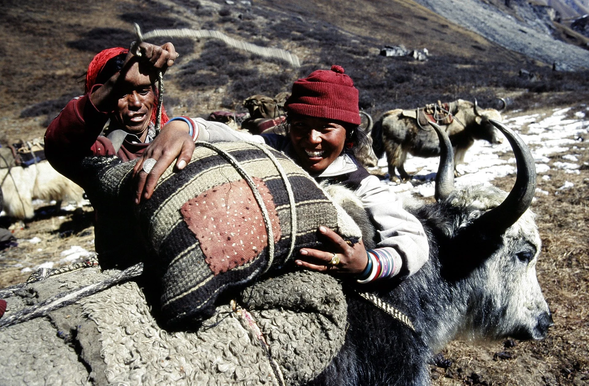 _MG_0681.JPG