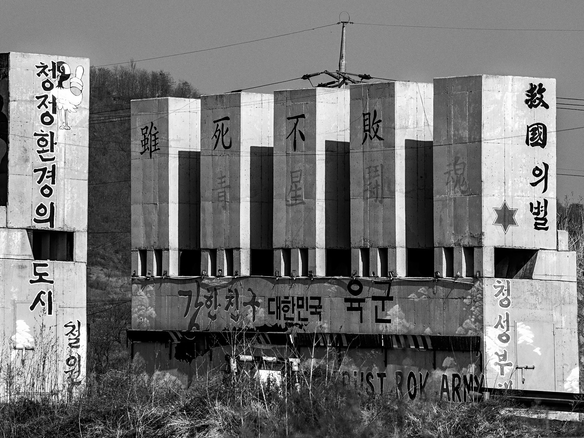 D3X_3997.jpg