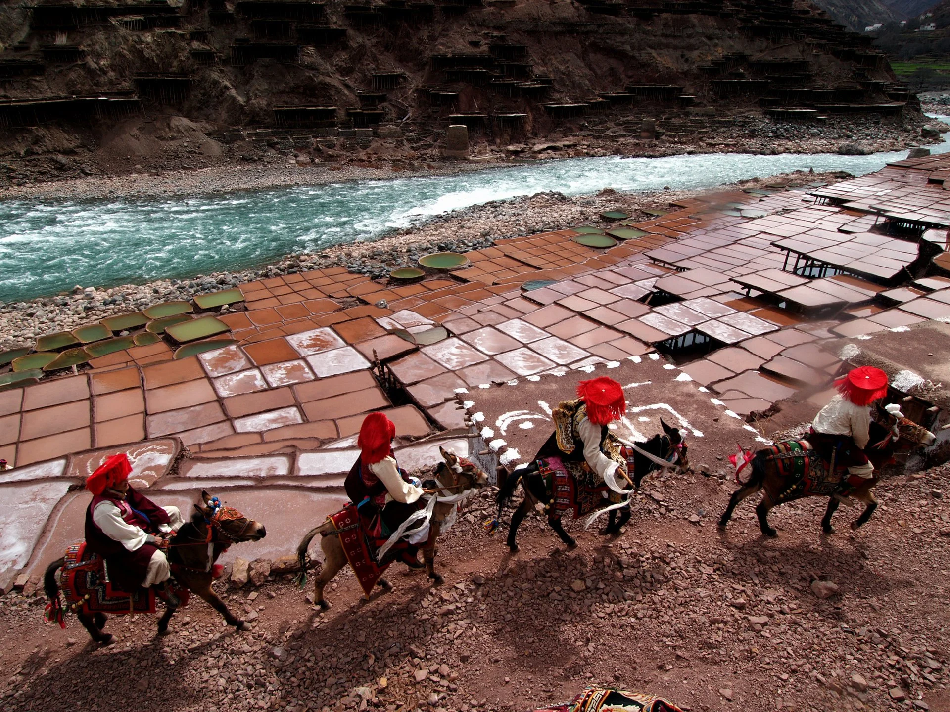 P2178836.jpg