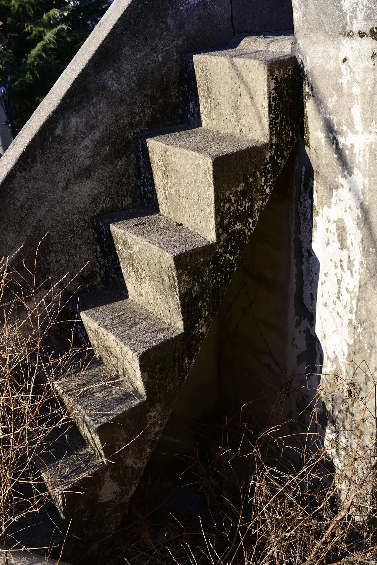 _Z7A6293.JPG
