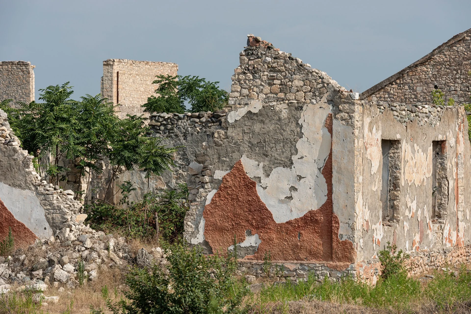 D8A_8291.jpg