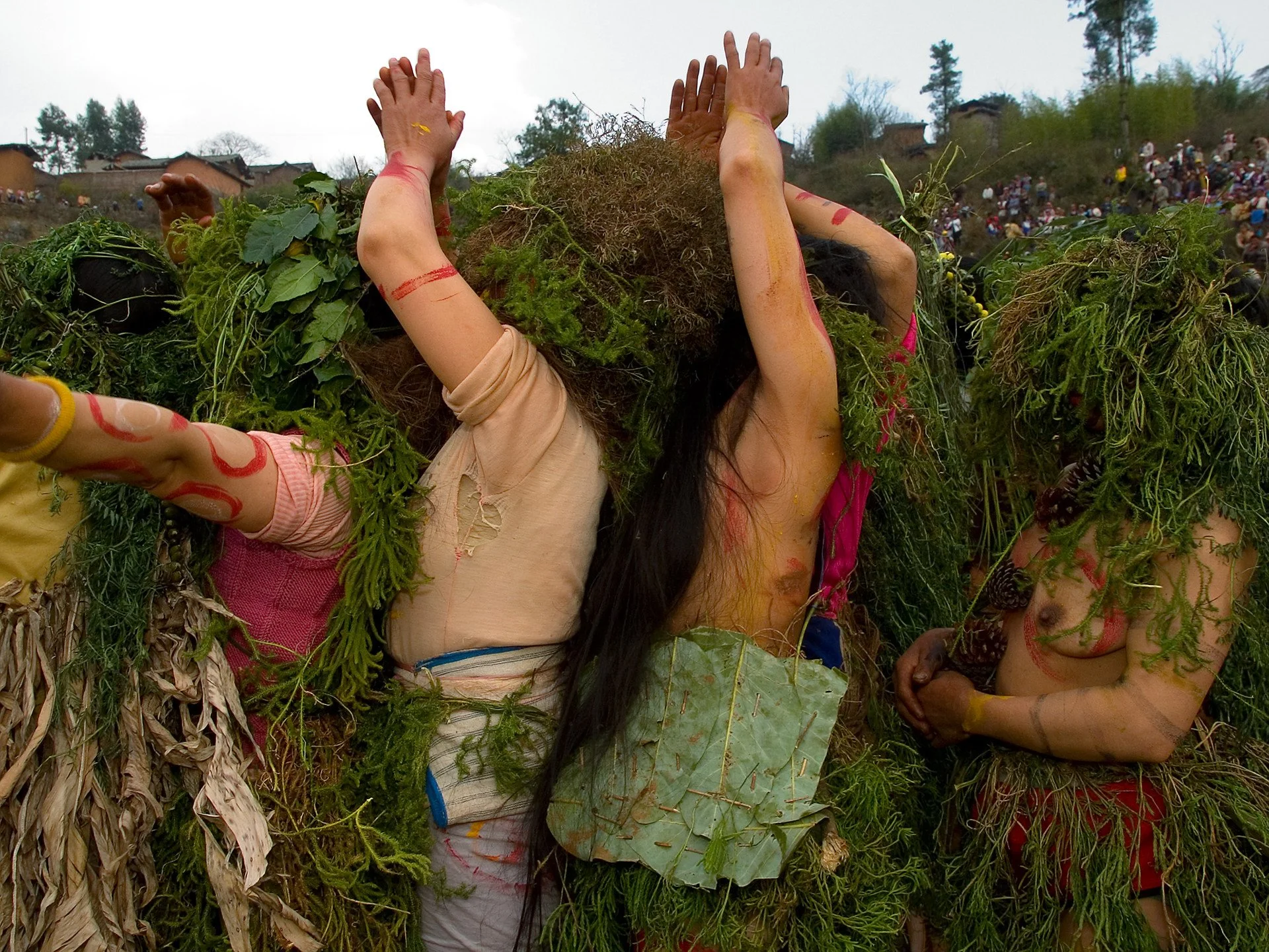 P2228899.jpg