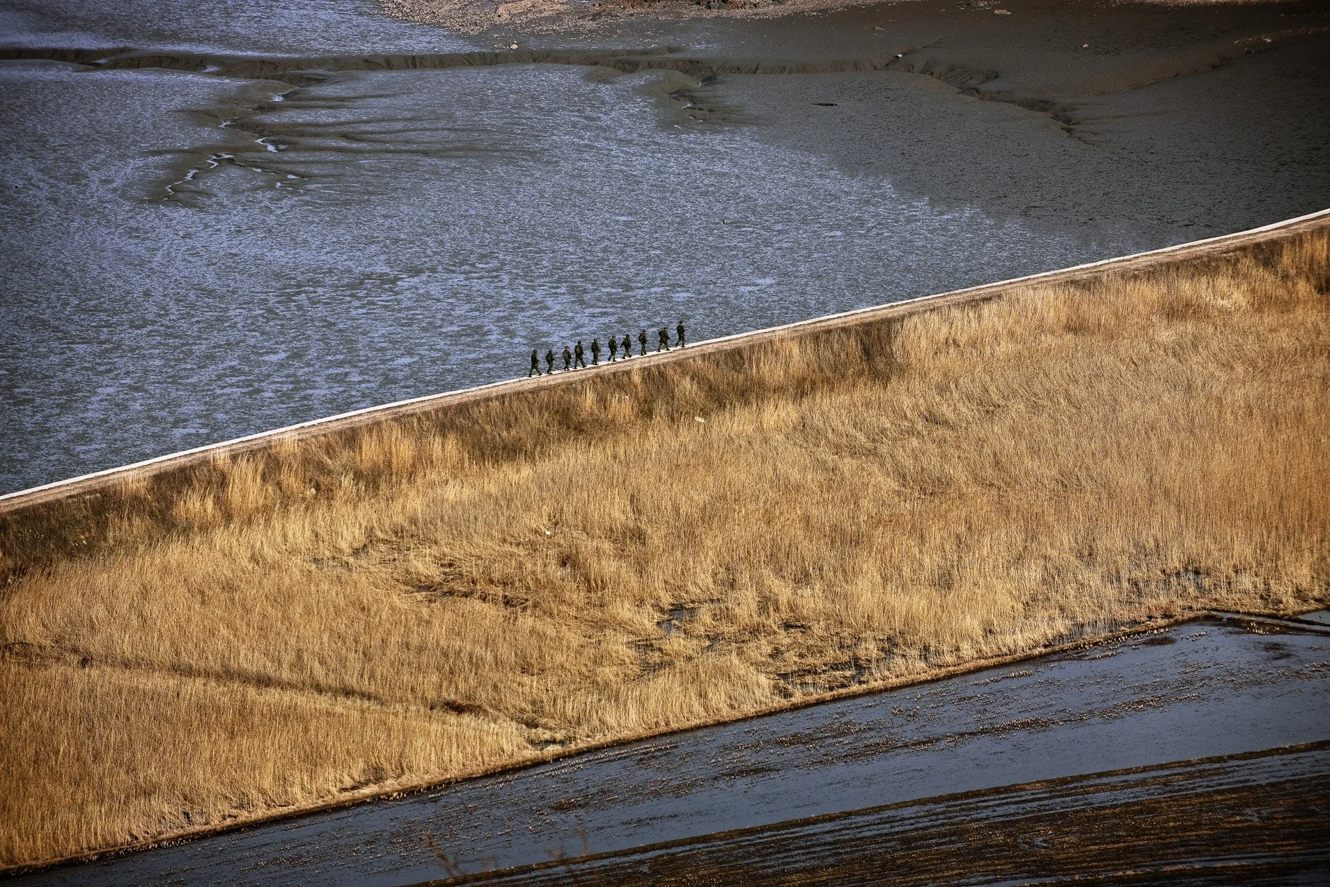 D3X_8753.jpg